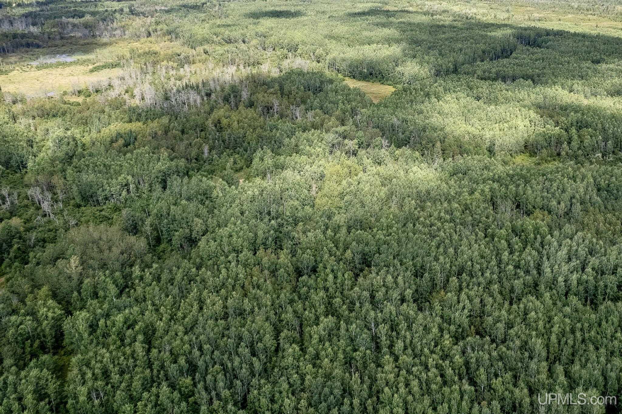 Homes for sale in Rock, MI | Tbd Plantation Ln, Rock, MI 49880 | MLS# 50180436