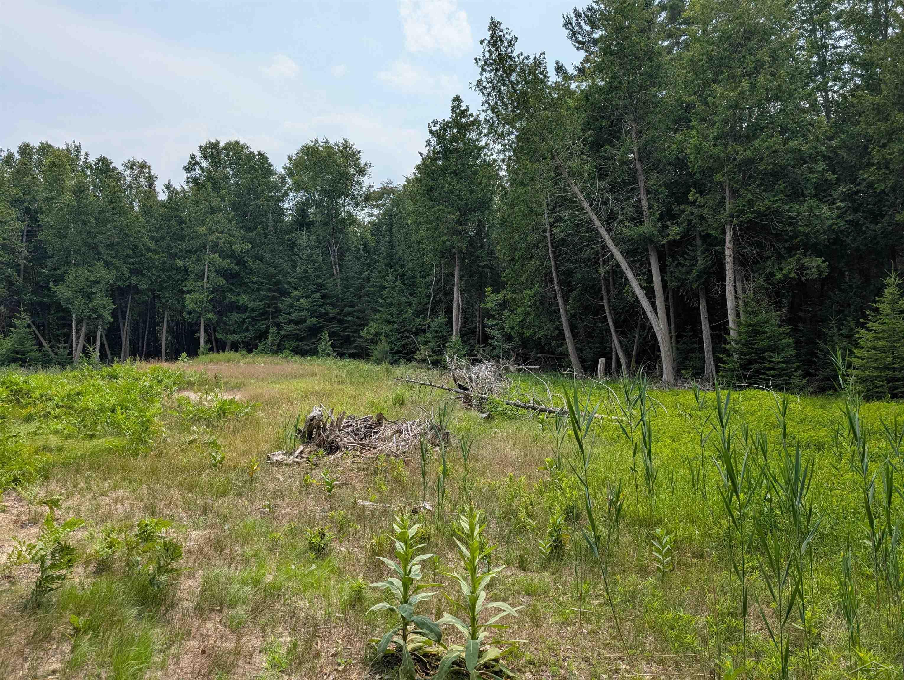 Homes for sale in Oscoda, MI | 0 Sherwood Dr, Oscoda, MI 48750 | MLS# 50180831