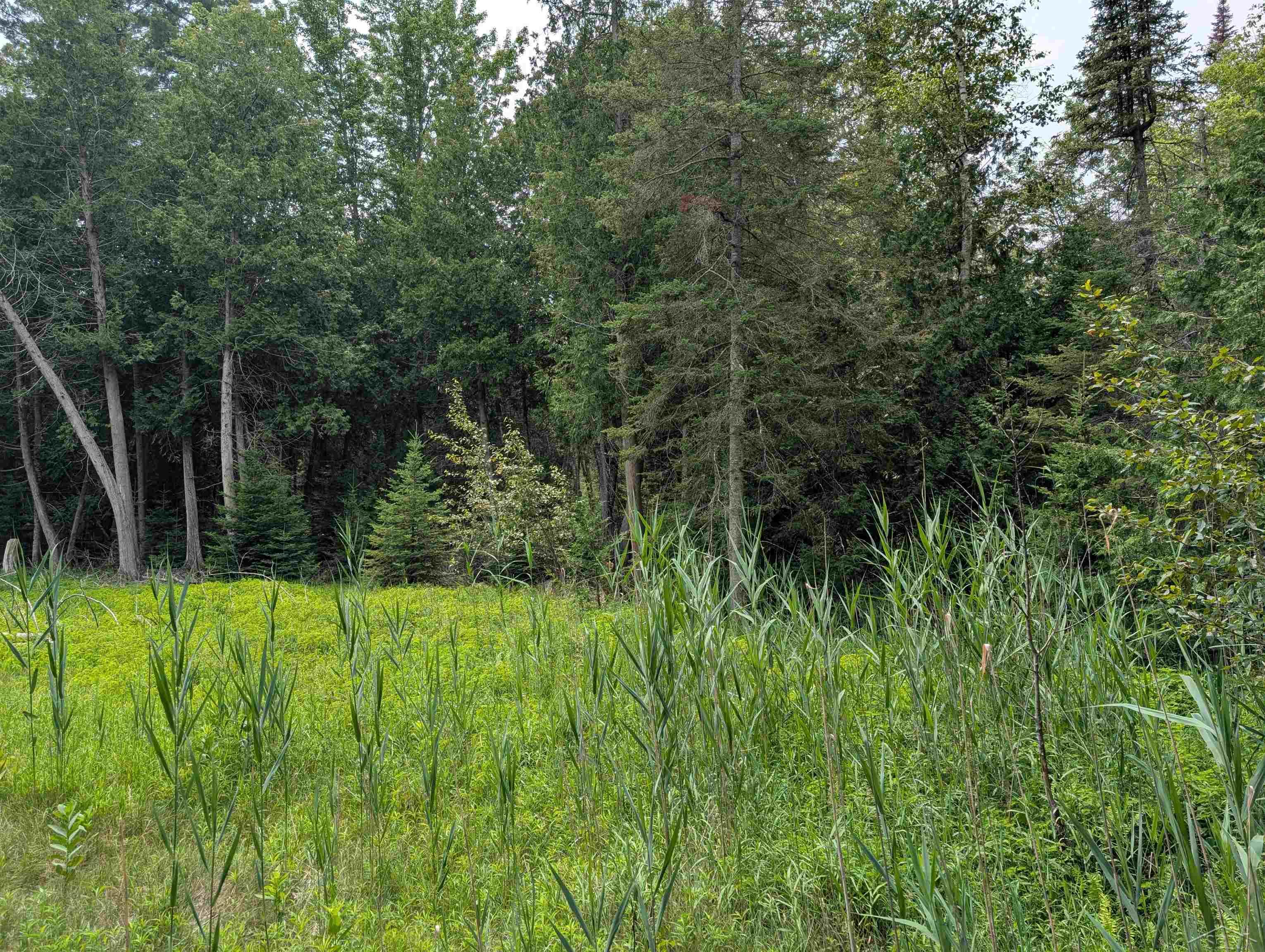 Homes for sale in Oscoda, MI | 0 Sherwood Dr, Oscoda, MI 48750 | MLS# 50180831