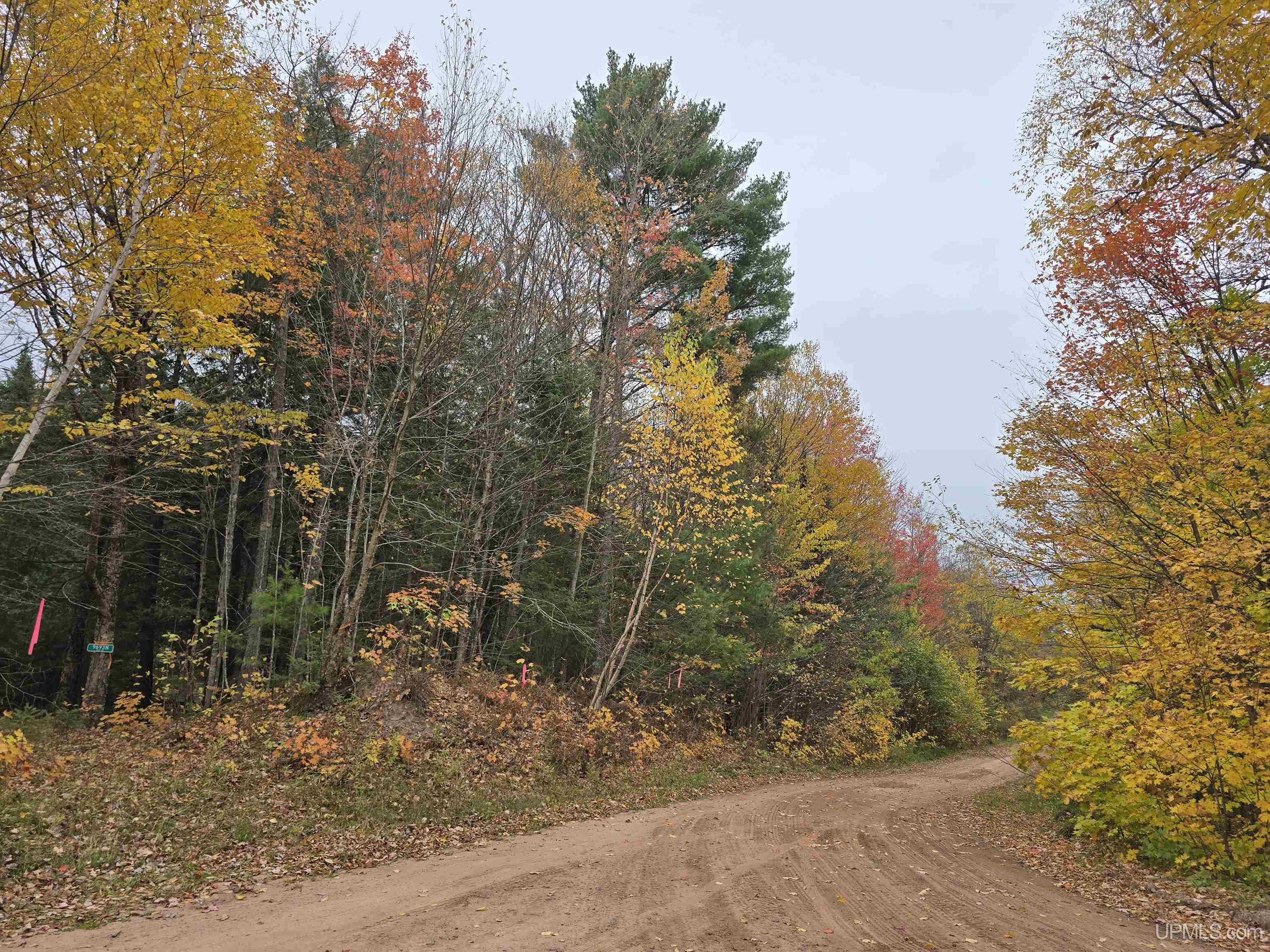 Homes for sale in Nisula, MI | 9693n Blue Rd, Nisula, MI 49952 | MLS# 50181052