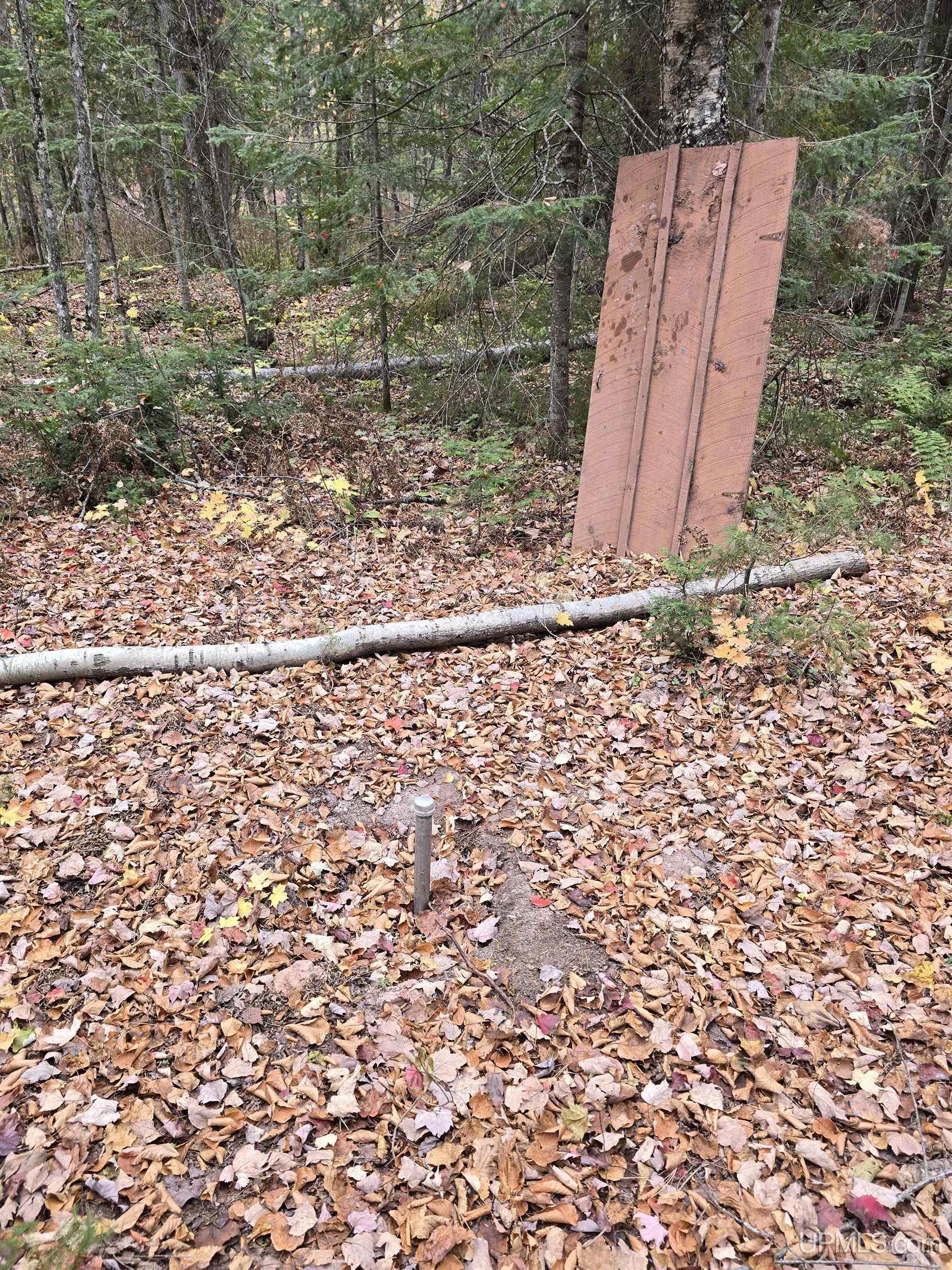 Homes for sale in Nisula, MI | 9693N Blue Rd, Nisula, MI 49952 | MLS# 50181052