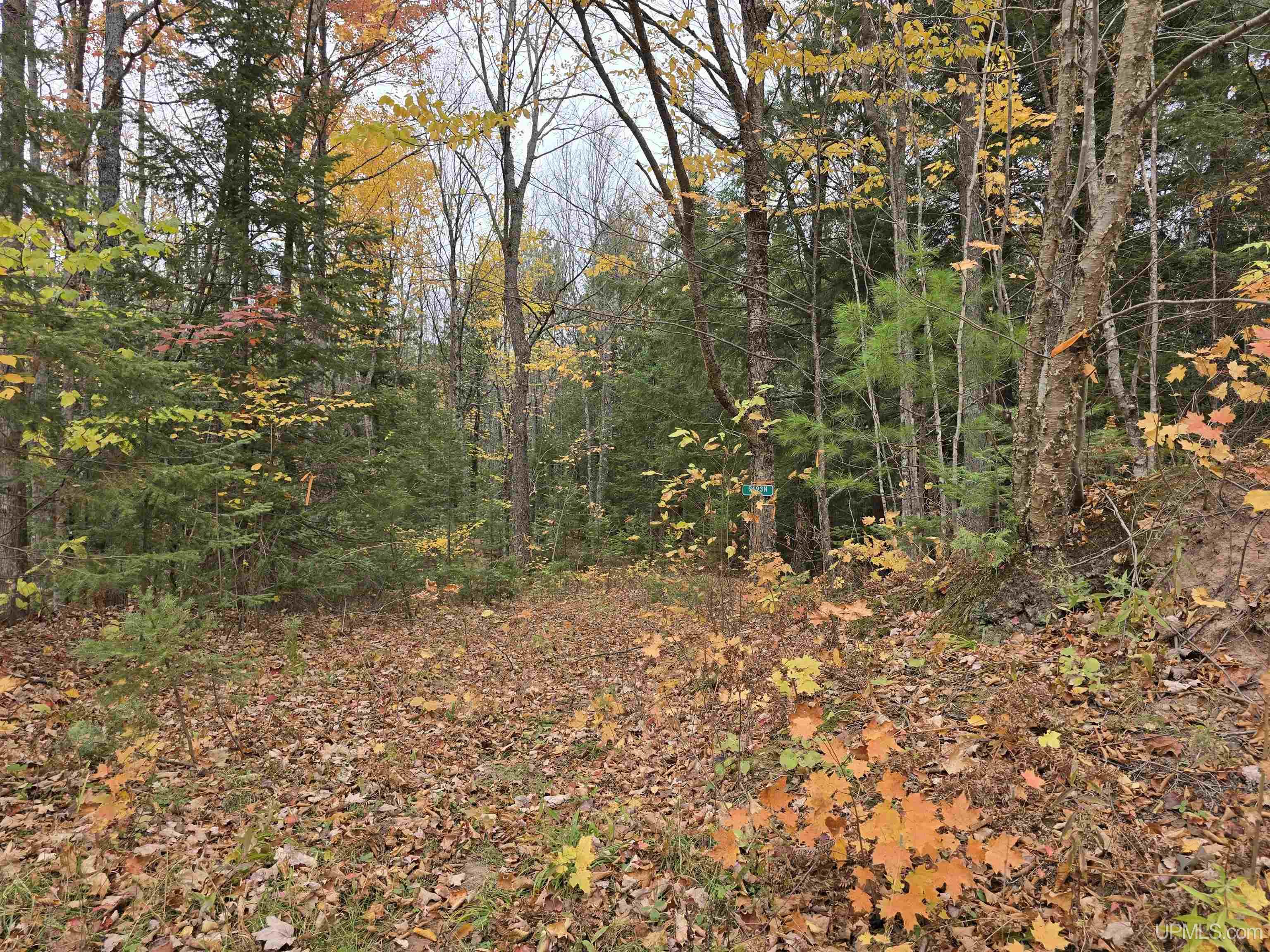 Homes for sale in Nisula, MI | 9693N Blue Rd, Nisula, MI 49952 | MLS# 50181052