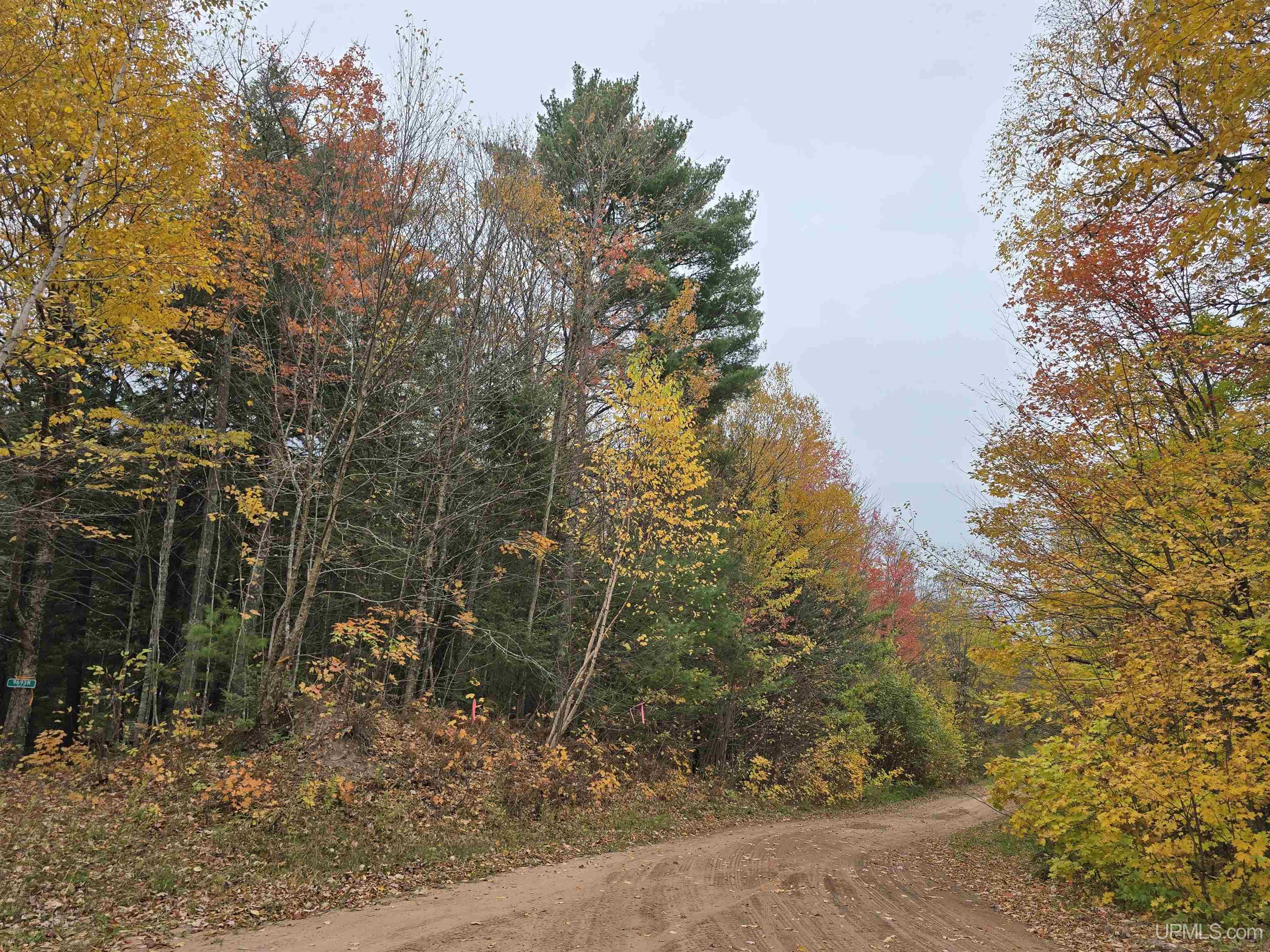 Homes for sale in Nisula, MI | 9693n Blue Rd, Nisula, MI 49952 | MLS# 50181052