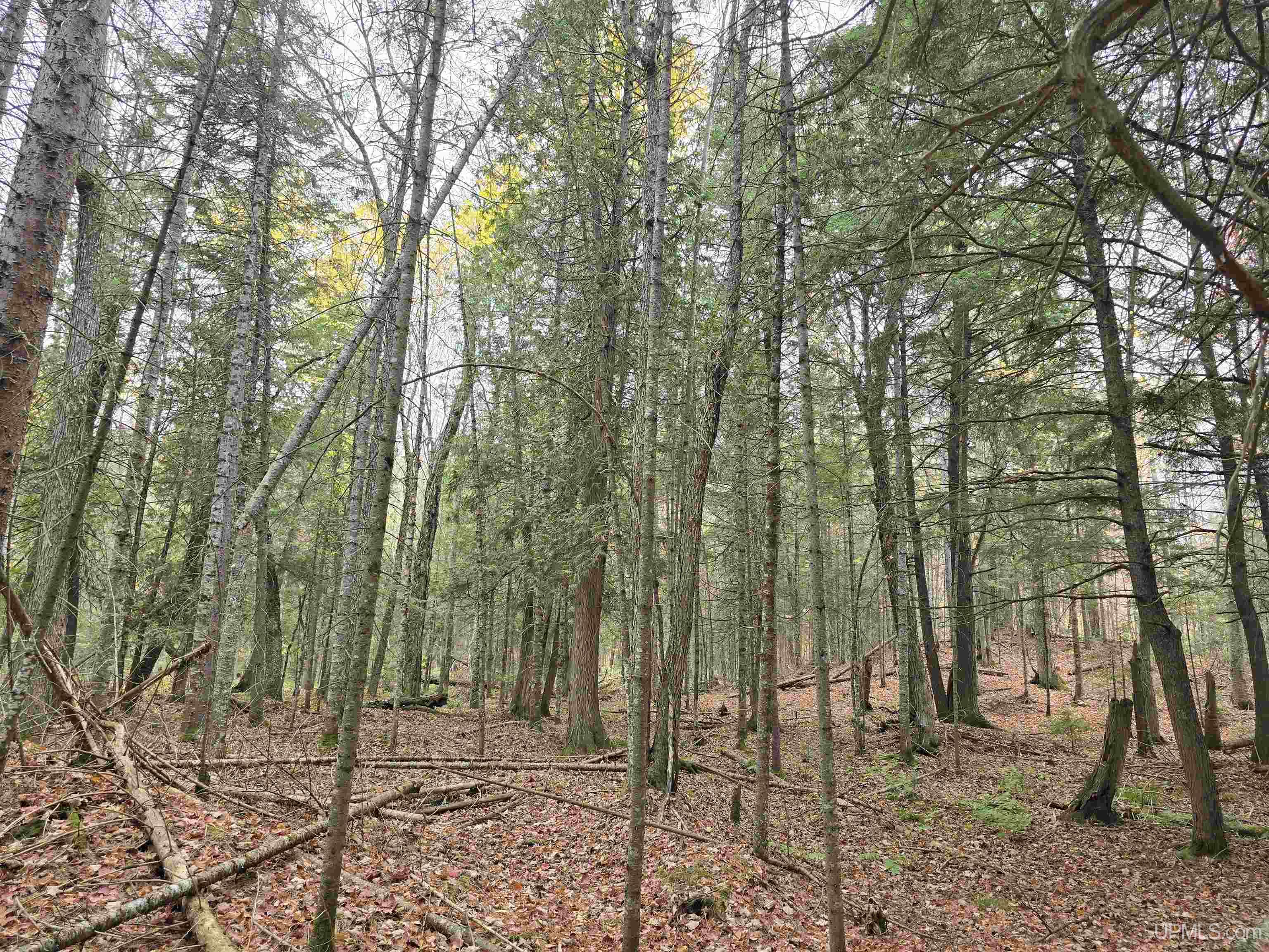 Homes for sale in Nisula, MI | 9693N Blue Rd, Nisula, MI 49952 | MLS# 50181052