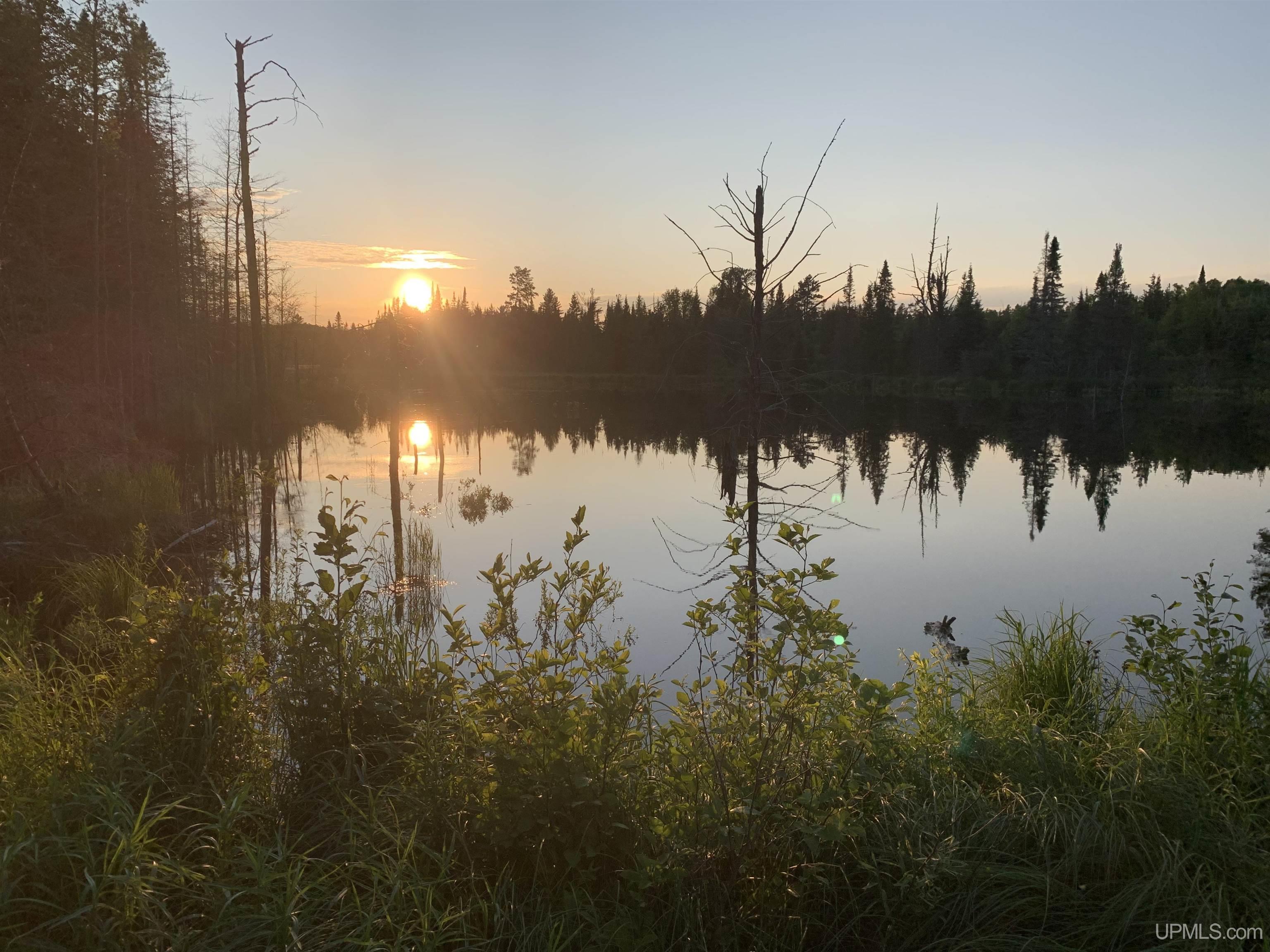 Homes for sale in Republic, MI | 280a Camp One Rd, Republic, MI 49879 | MLS# 50181073