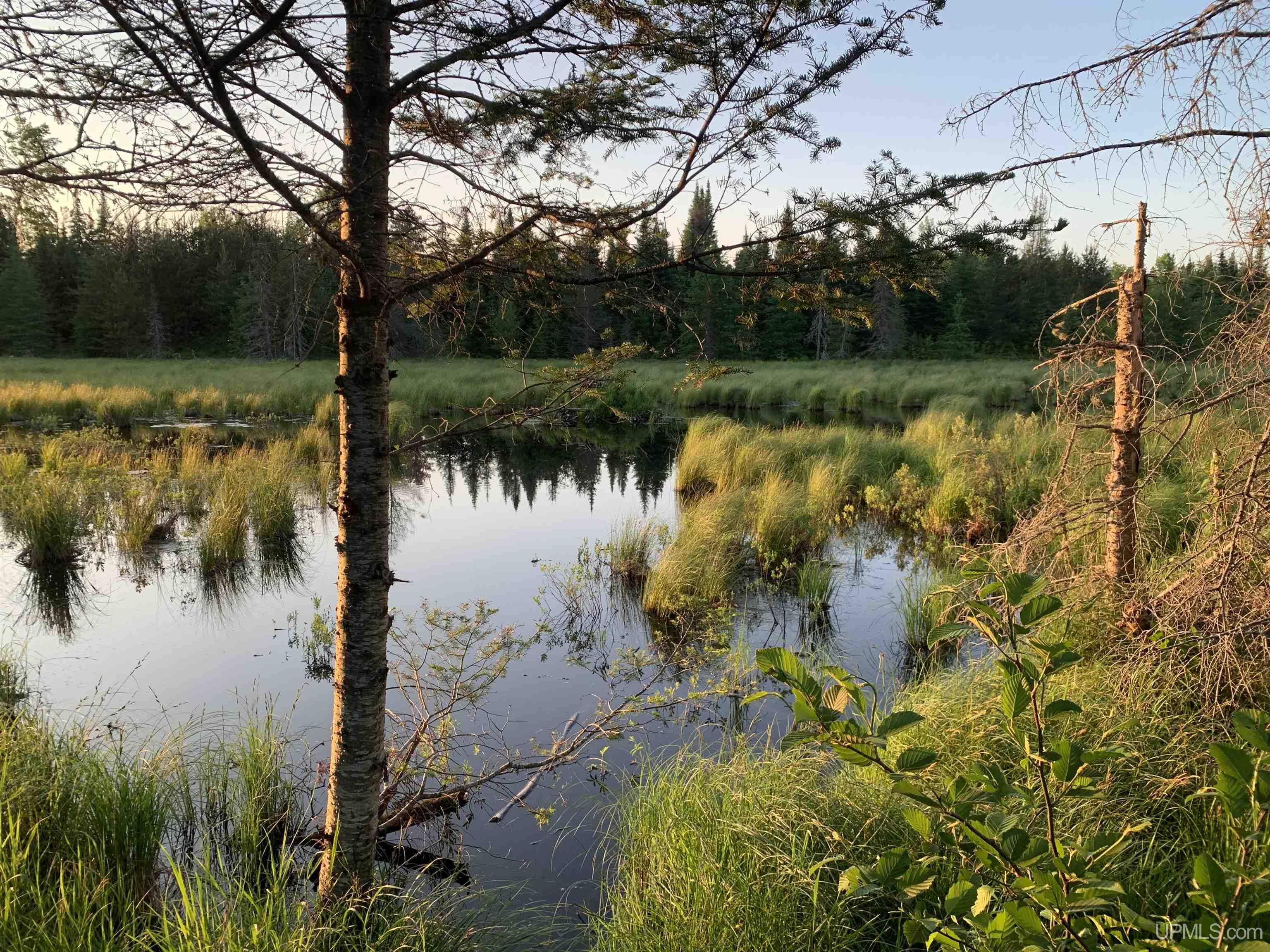 Homes for sale in Republic, MI | 280A Camp One Rd, Republic, MI 49879 | MLS# 50181073