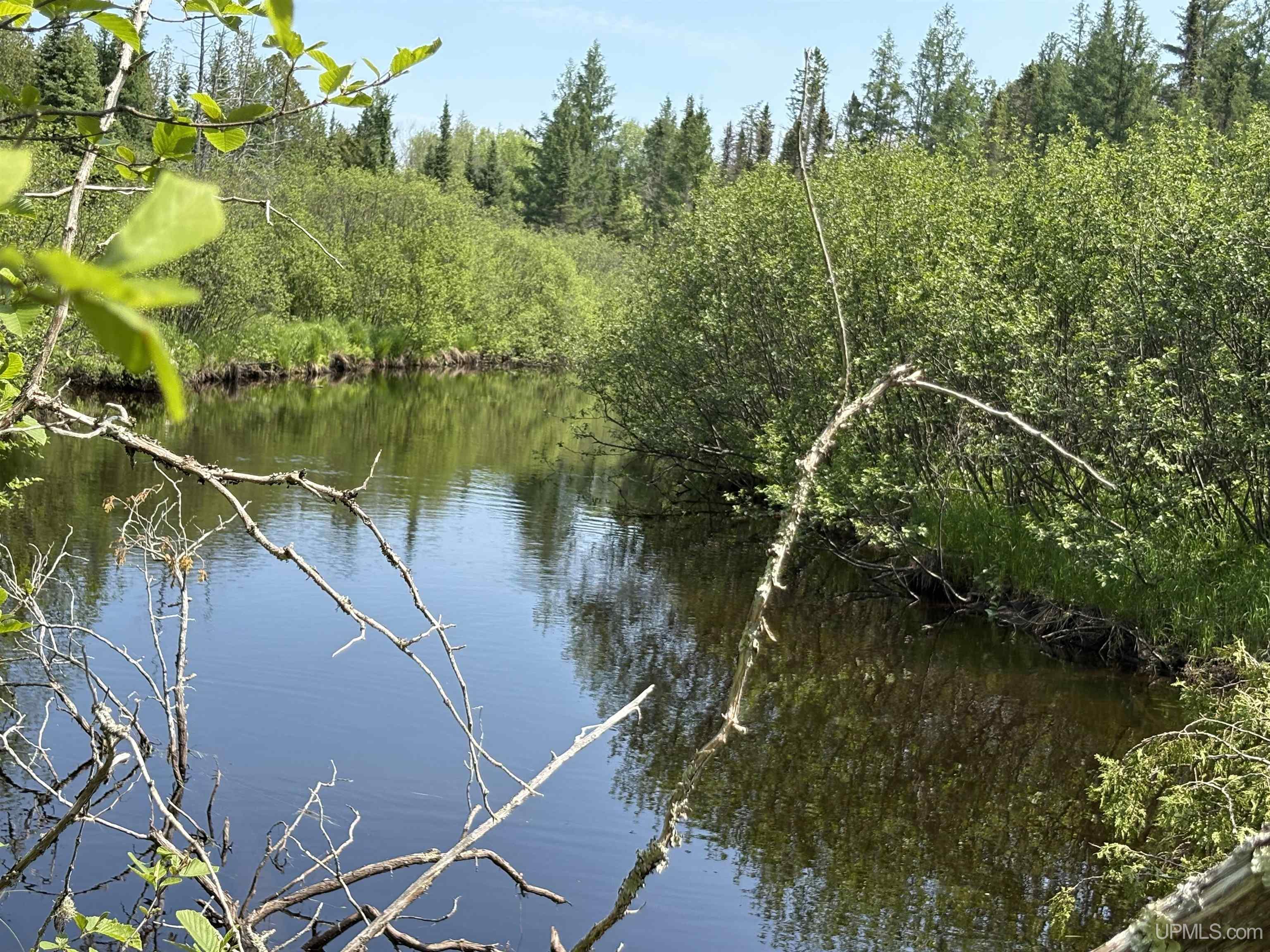 Homes for sale in Republic, MI | 280A Camp One Rd, Republic, MI 49879 | MLS# 50181073