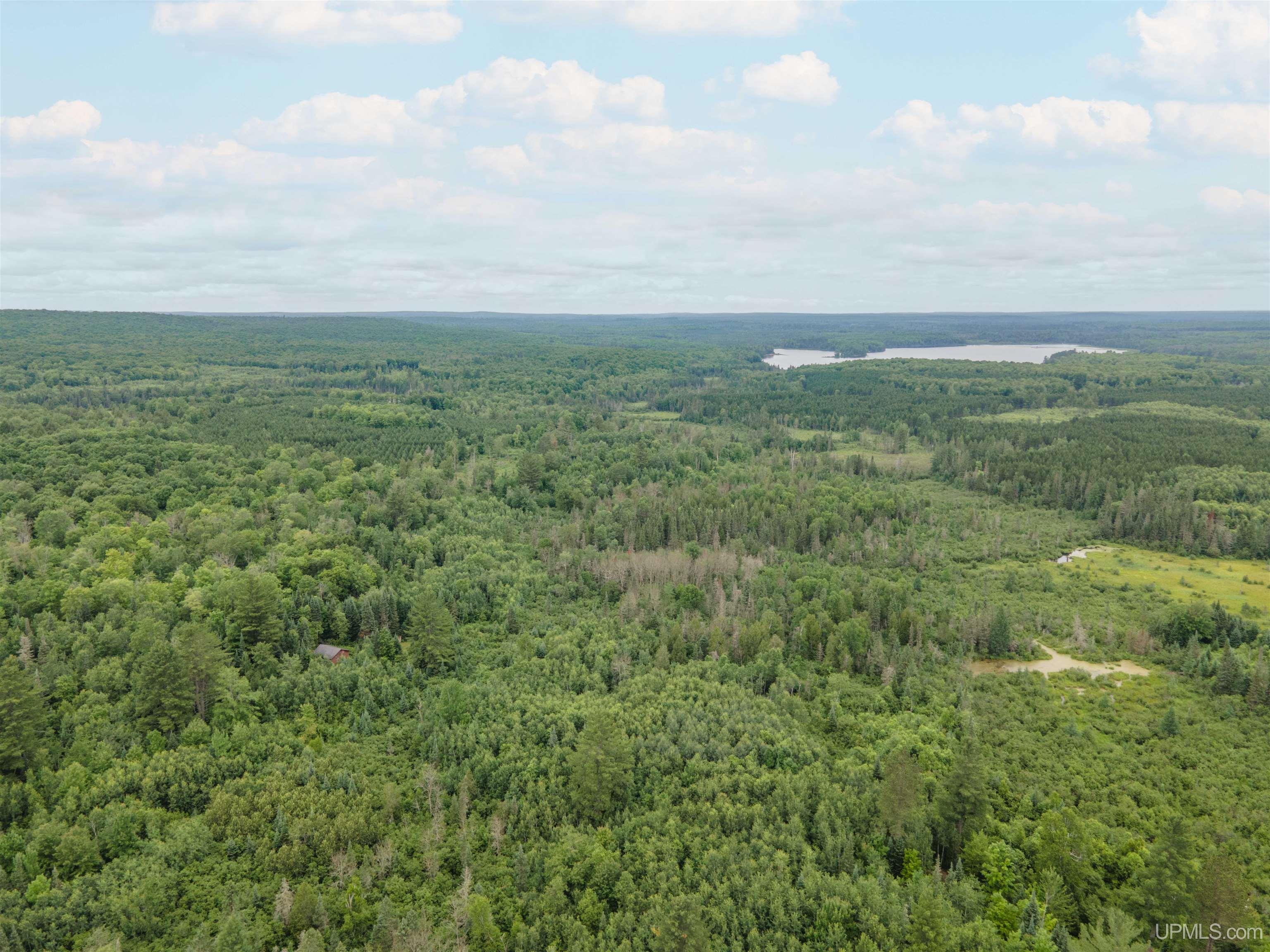 Homes for sale in Crystal Falls, MI | Tbd Net River Rd, Crystal Falls, MI 49920 | MLS# 50181084