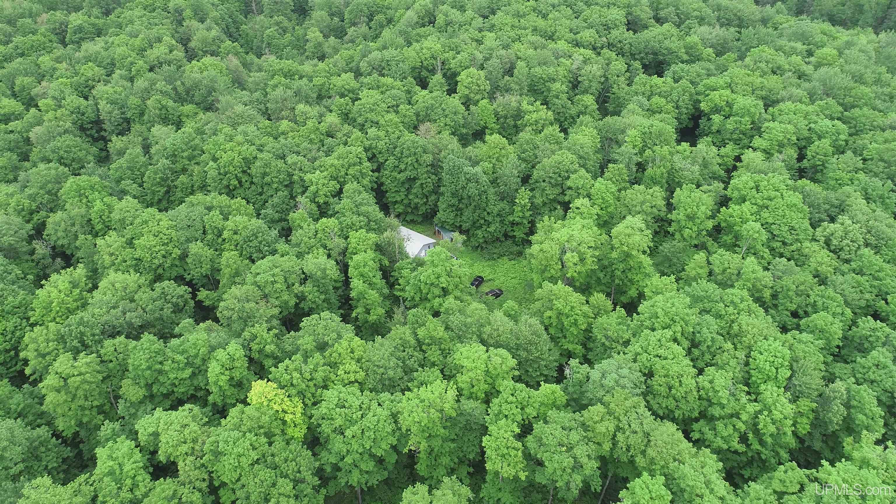 Homes for sale in Amasa, MI | 40 Acres The Grade Rd, Amasa, MI 49920 | MLS# 50181214