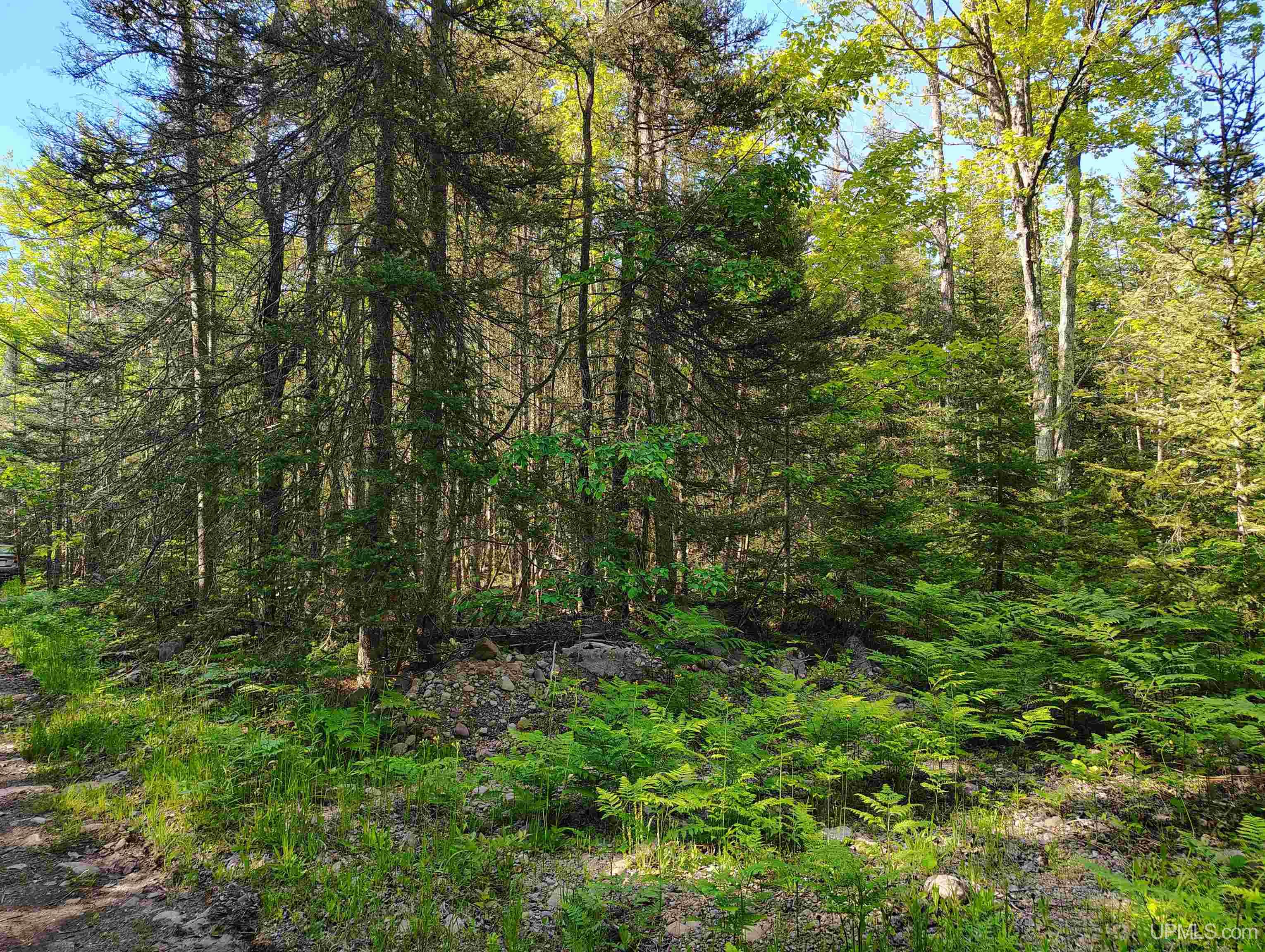 Homes for sale in Deerton, MI | Tbd Superior Lane Rd, Deerton, MI 49822 | MLS# 50181802