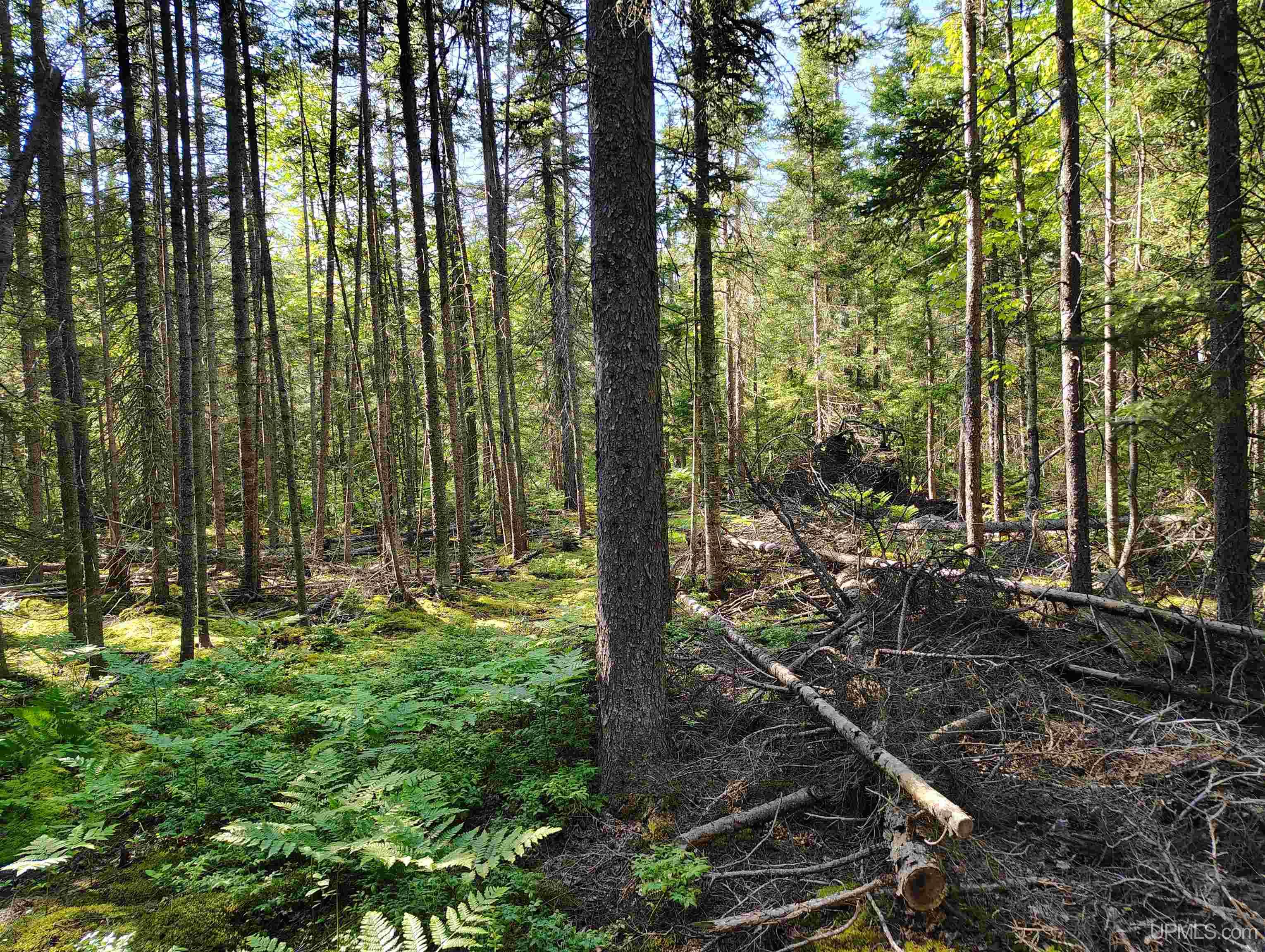 Homes for sale in Deerton, MI | Tbd Superior Lane Rd, Deerton, MI 49822 | MLS# 50181802