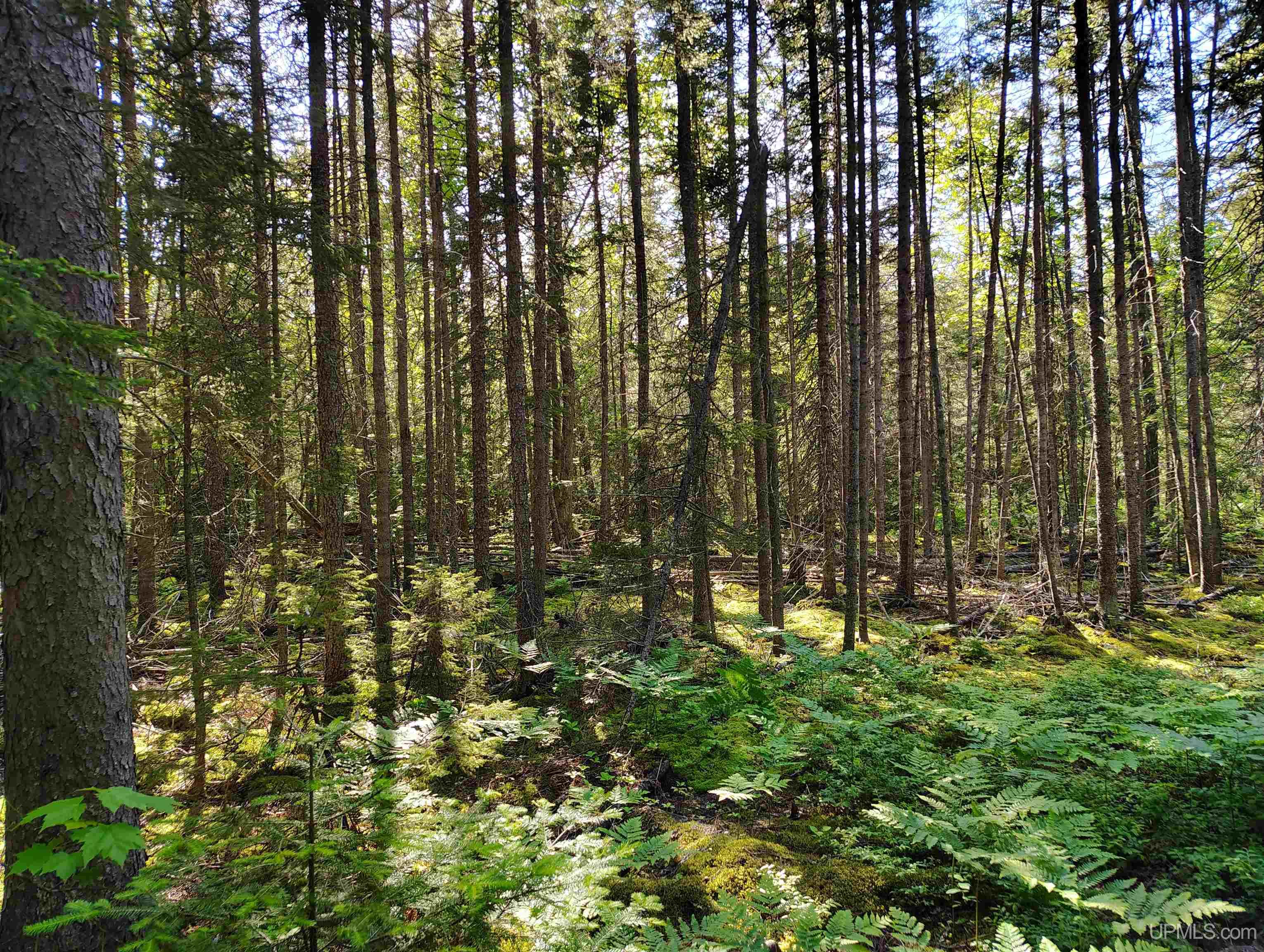 Homes for sale in Deerton, MI | Tbd Superior Lane Rd, Deerton, MI 49822 | MLS# 50181802