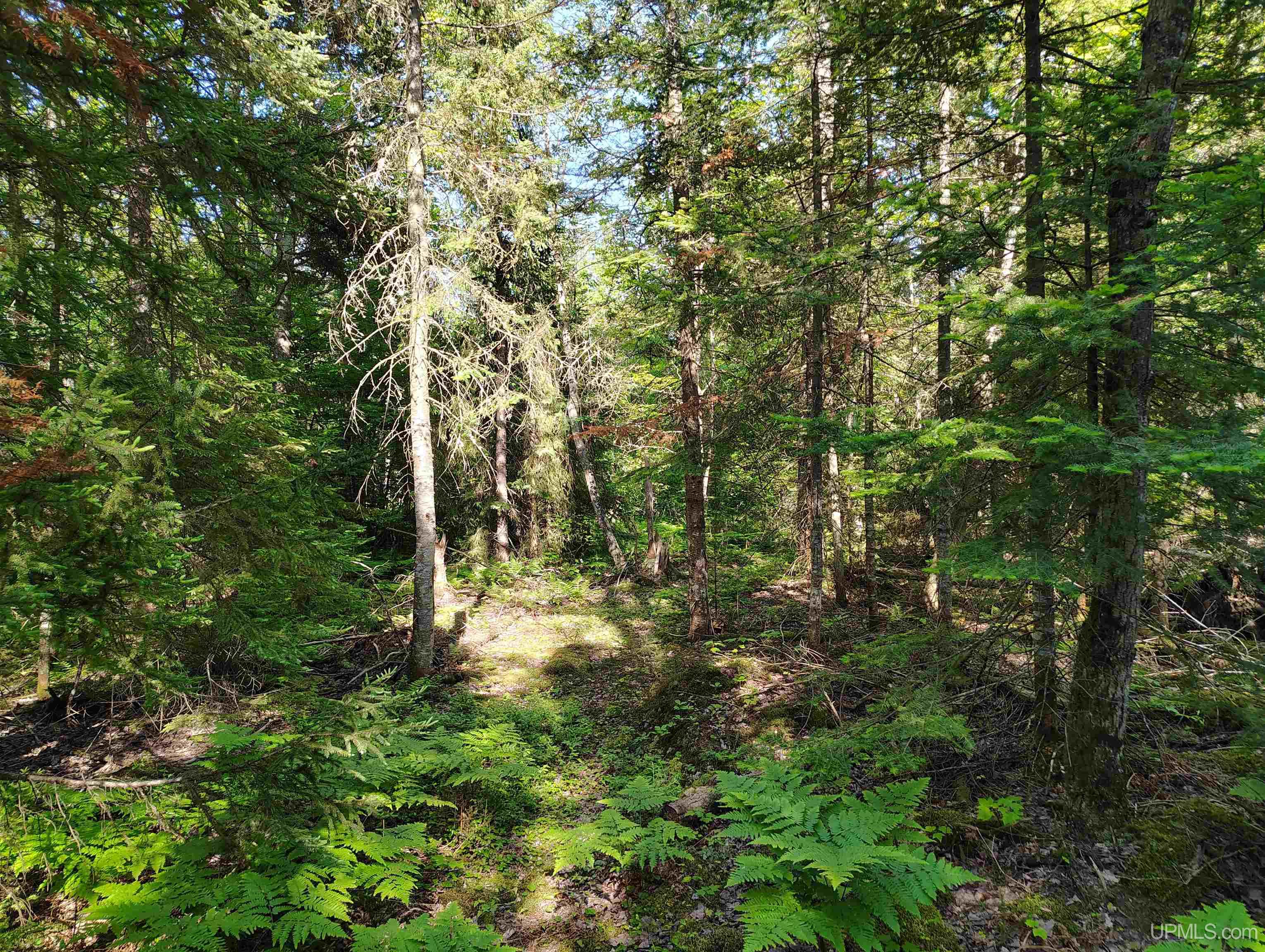 Homes for sale in Deerton, MI | Tbd Superior Lane Rd, Deerton, MI 49822 | MLS# 50181802