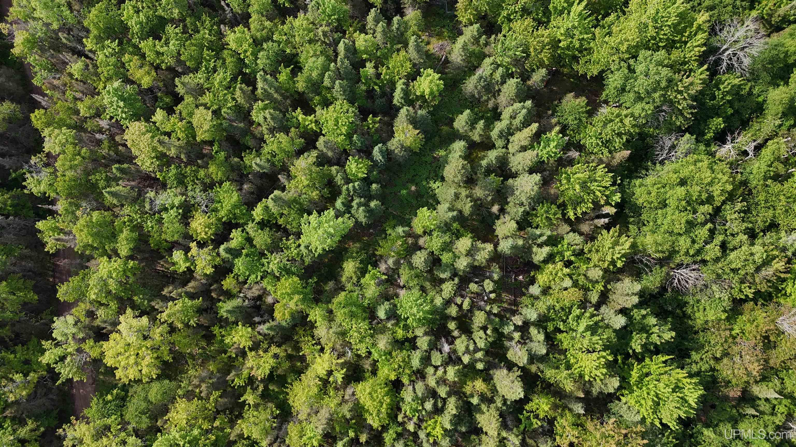 Homes for sale in Deerton, MI | Tbd Superior Lane Rd, Deerton, MI 49822 | MLS# 50181802