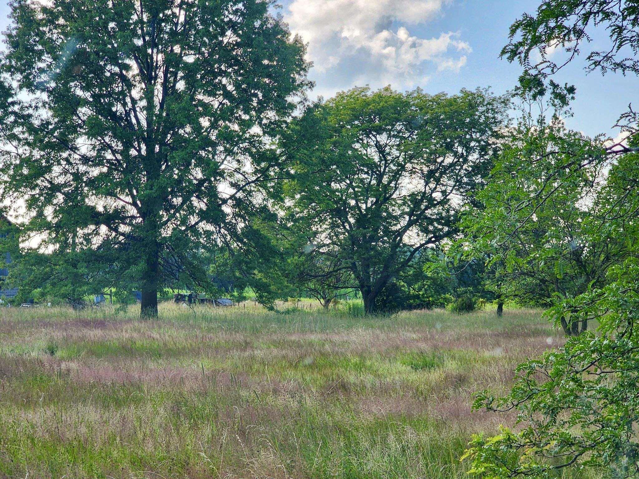 Homes for sale in Casco, MI | Vacant Springborn Rd, Casco, MI 48064 | MLS# 50182084