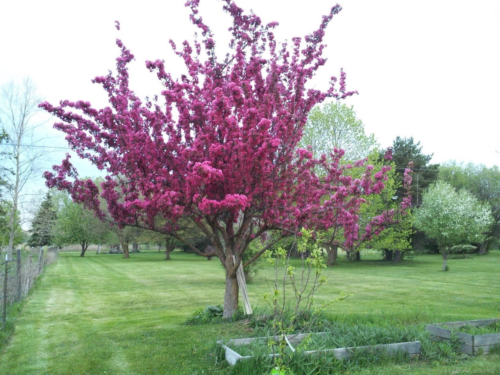 Homes for sale in Casco, MI | Vacant Springborn Rd, Casco, MI 48064 | MLS# 50182084