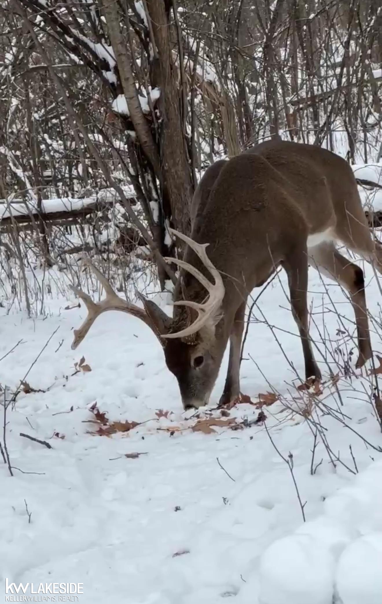 Homes for sale in Gould City, MI | 0 Us 2 Rd, Gould City, MI 49838 | MLS# 50183252