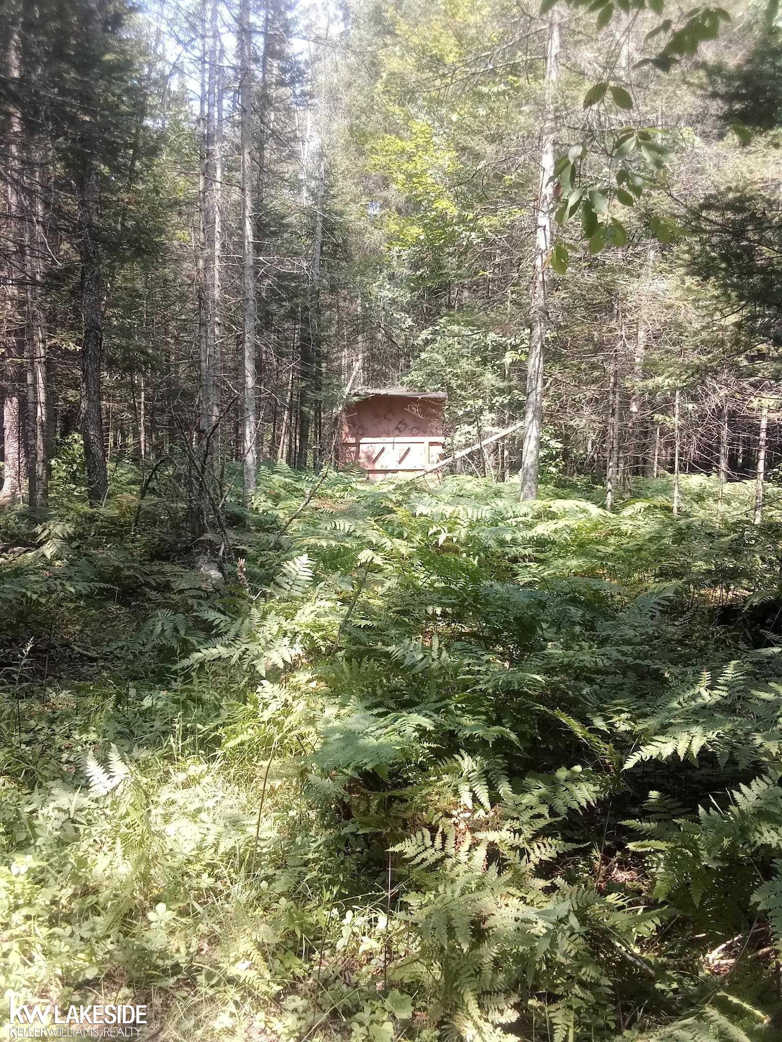 Homes for sale in Gould City, MI | 0 Us 2 Rd, Gould City, MI 49838 | MLS# 50183252