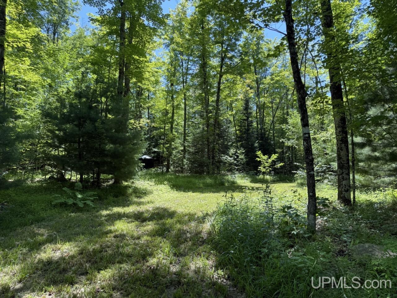 Homes for sale in Crystal Falls, MI | 3385 Acres Cable Lake Rd, Crystal Falls, MI 49920 | MLS# 50183350