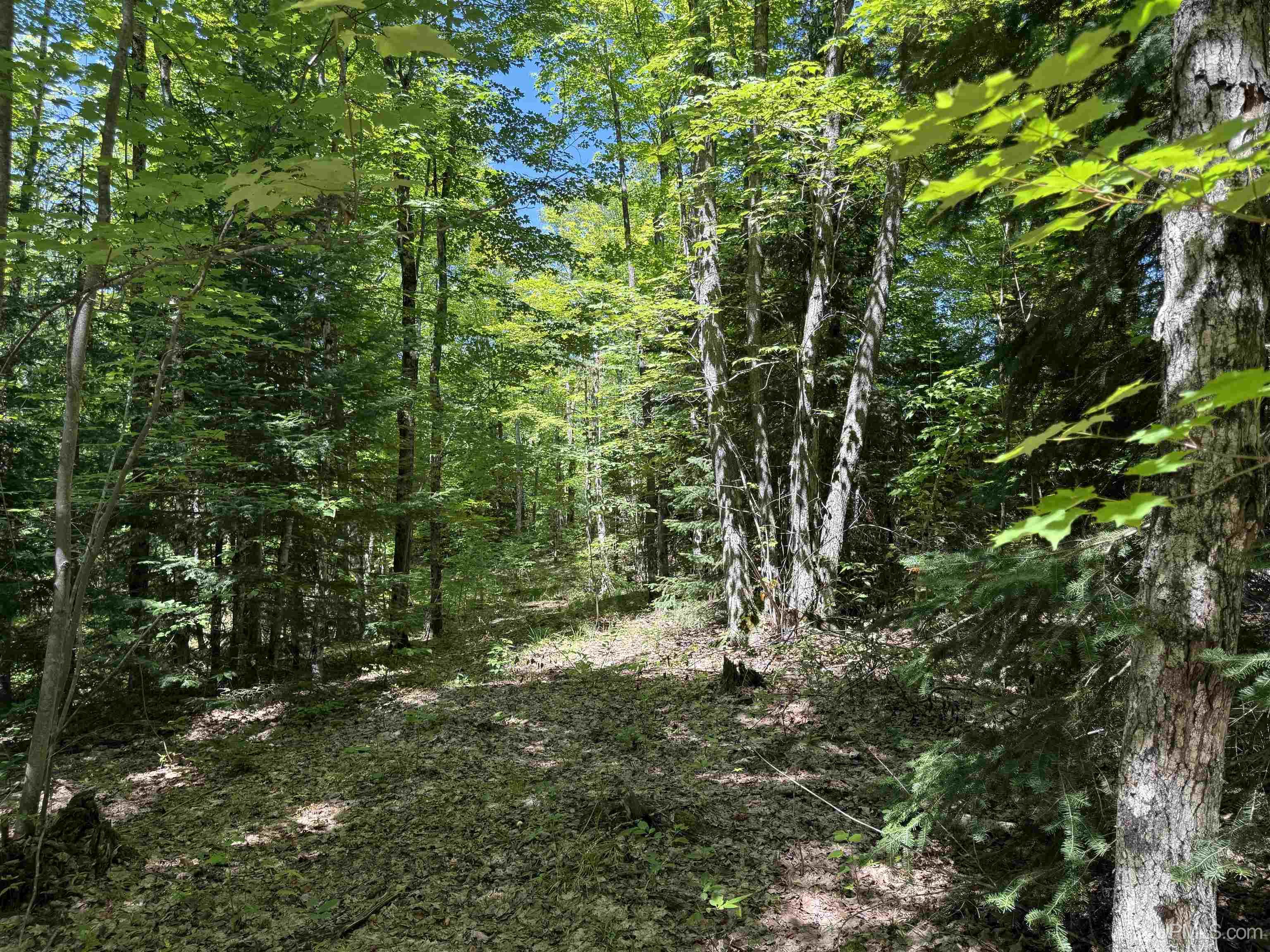 Homes for sale in Crystal Falls, MI | 3385 Acres Cable Lake Rd, Crystal Falls, MI 49920 | MLS# 50183350