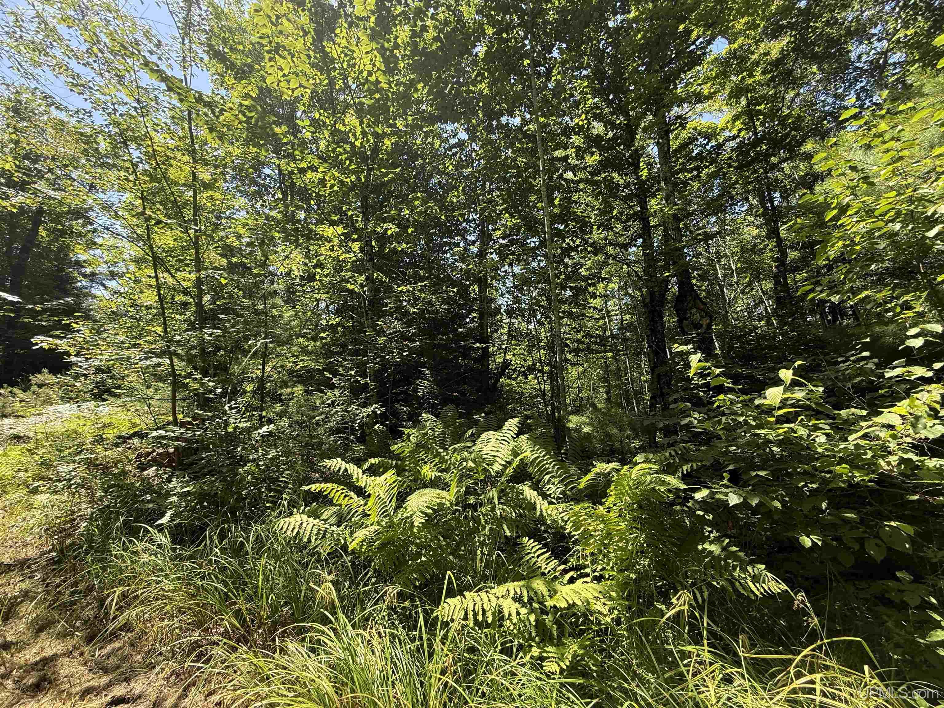 Homes for sale in Crystal Falls, MI | 3385 Acres Cable Lake Rd, Crystal Falls, MI 49920 | MLS# 50183350