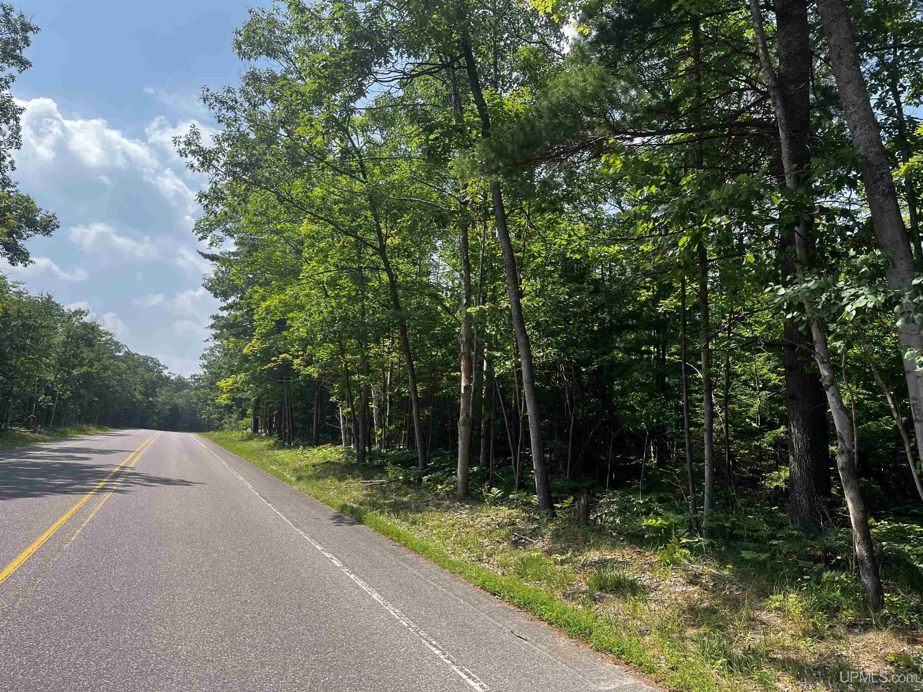 Homes for sale in Big Bay, MI | 20 Acres County Road 510 Road, Big Bay, MI 49808 | MLS# 50183399