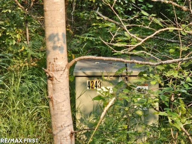 Homes for sale in Roscommon, MI | 0 Pocahontas Trl, Roscommon, MI 48653 | MLS# 50183844