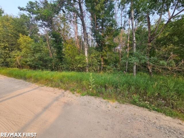 Homes for sale in Roscommon, MI | 0 Pocahontas Trl, Roscommon, MI 48653 | MLS# 50183844