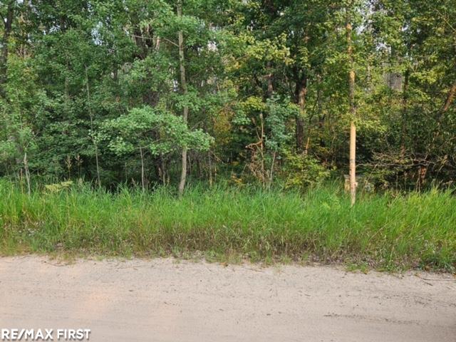 Homes for sale in Roscommon, MI | 0 Pocahontas Trl, Roscommon, MI 48653 | MLS# 50183844