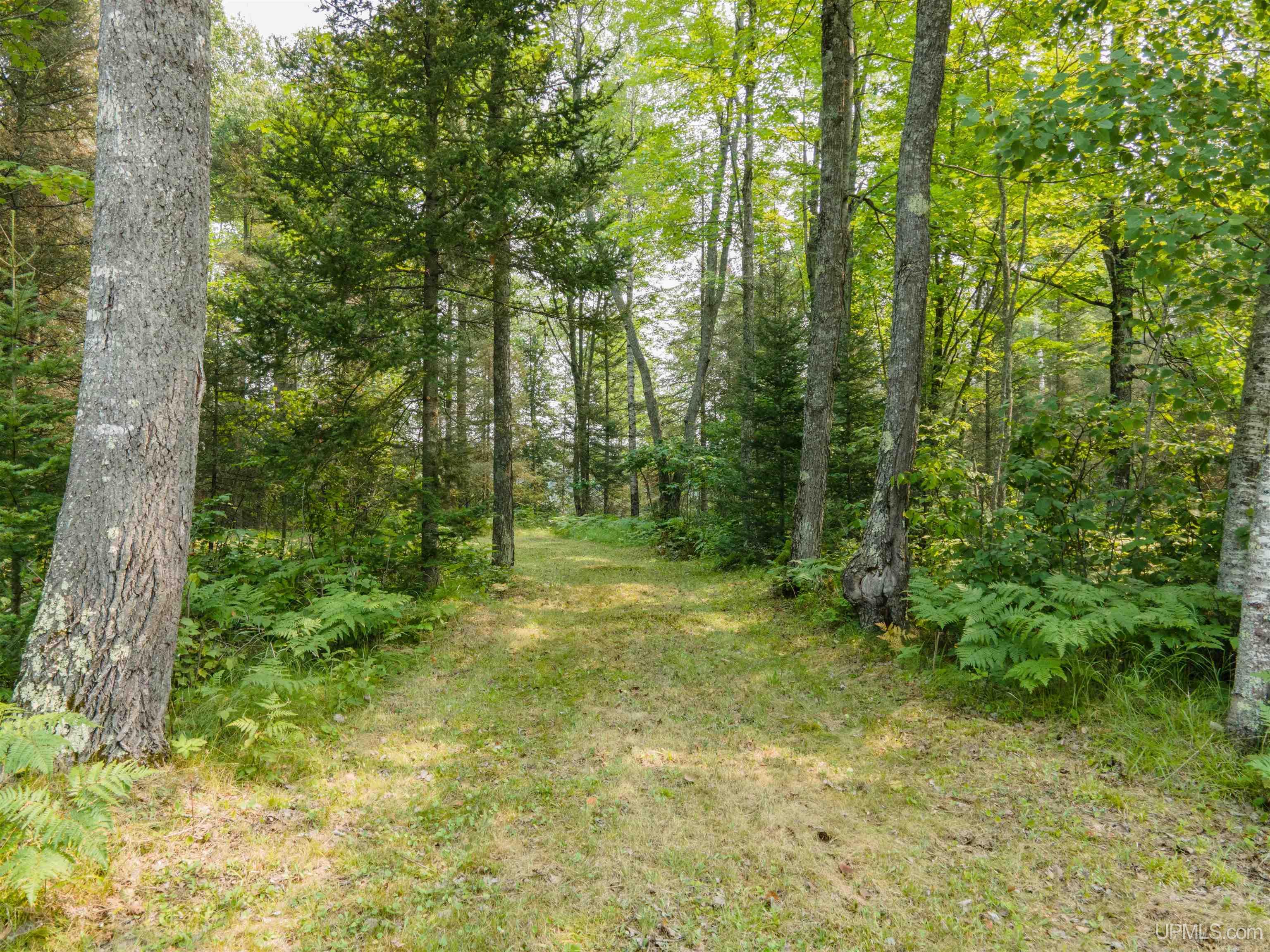 Homes for sale in Crystal Falls, MI | Lots 45 & 46 Little Maggie Ln, Crystal Falls, MI 49920 | MLS# 50184170