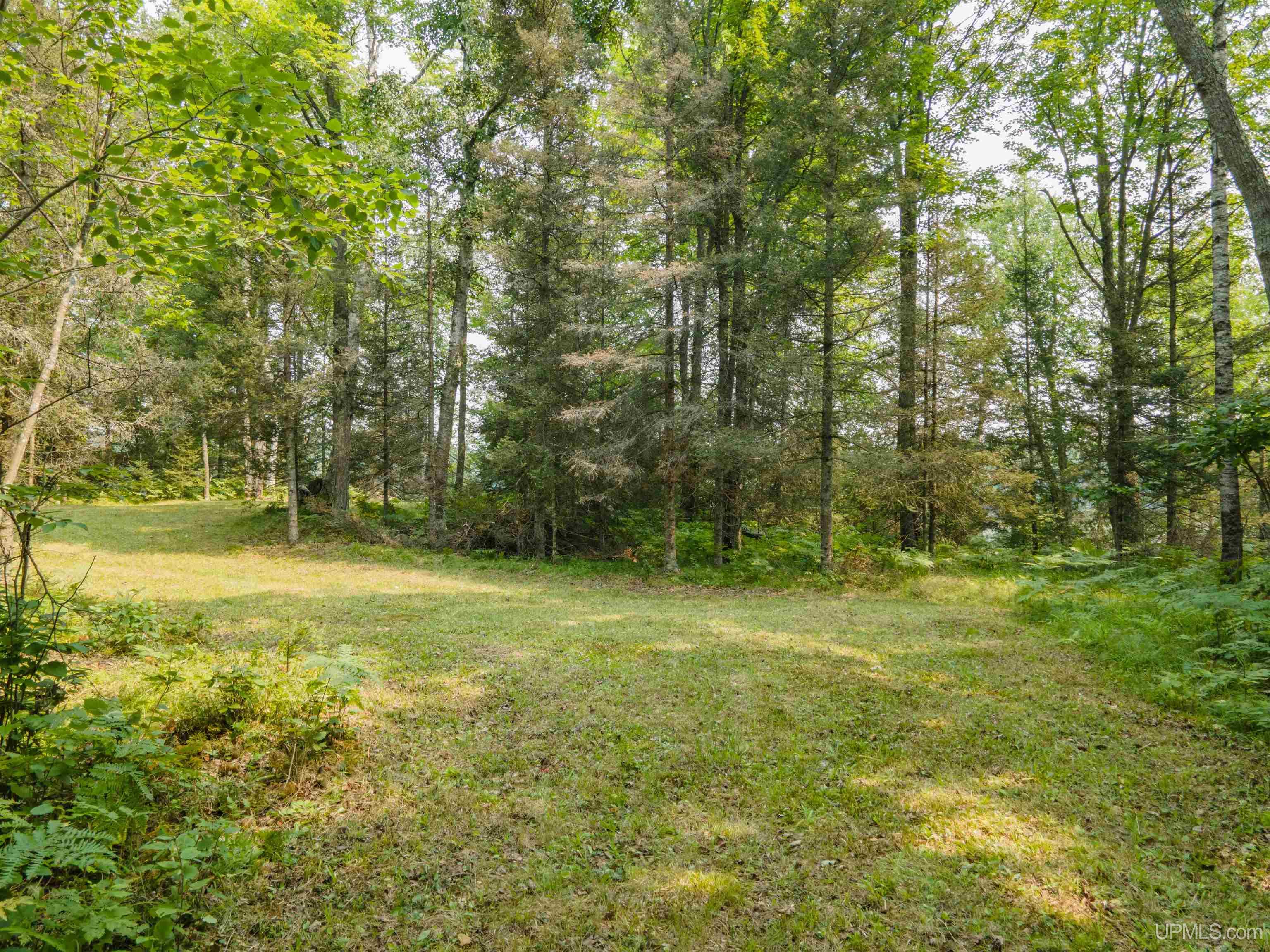 Homes for sale in Crystal Falls, MI | Lots 45 & 46 Little Maggie Ln, Crystal Falls, MI 49920 | MLS# 50184170