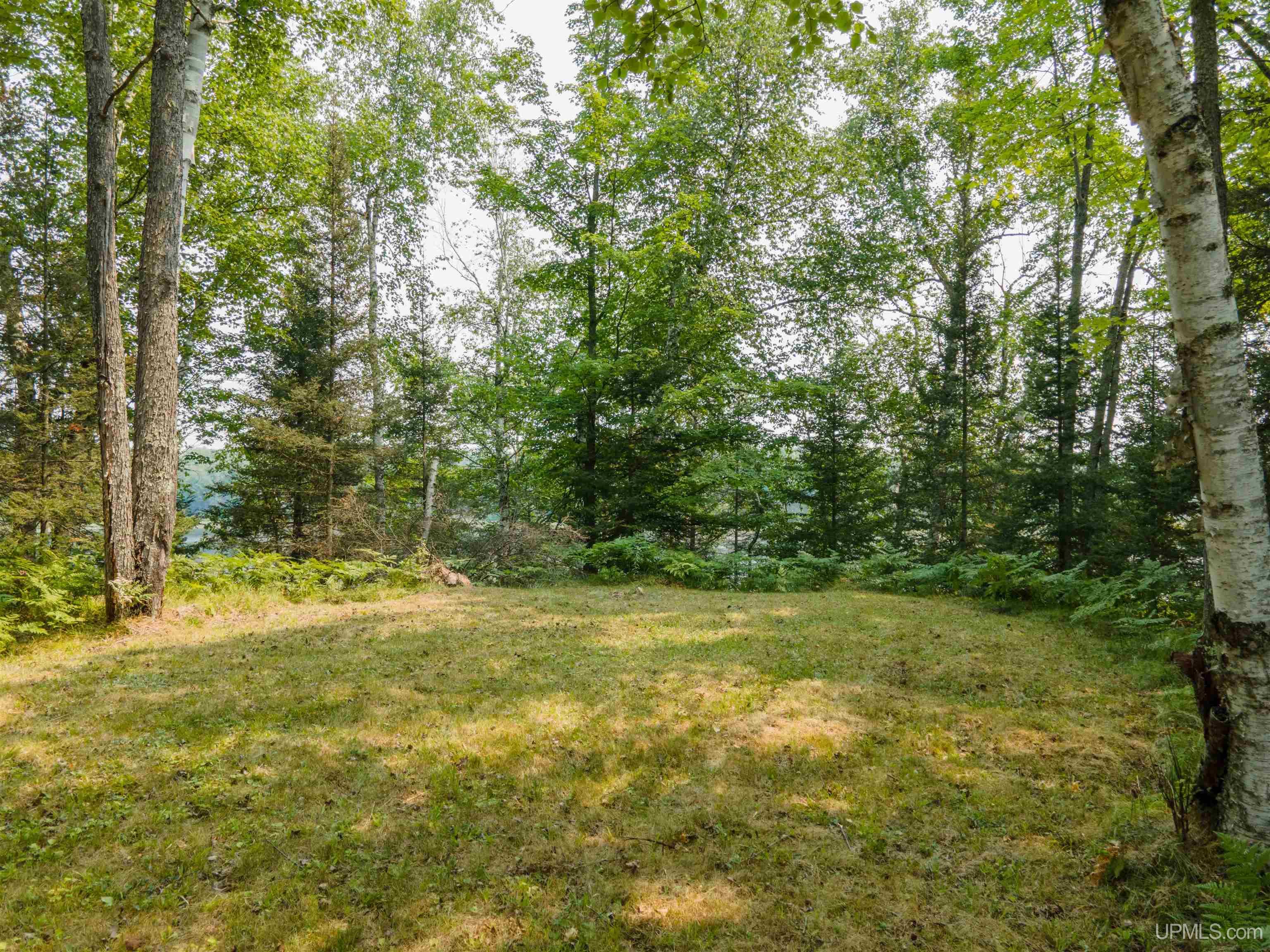 Homes for sale in Crystal Falls, MI | Lots 45 & 46 Little Maggie Ln, Crystal Falls, MI 49920 | MLS# 50184170