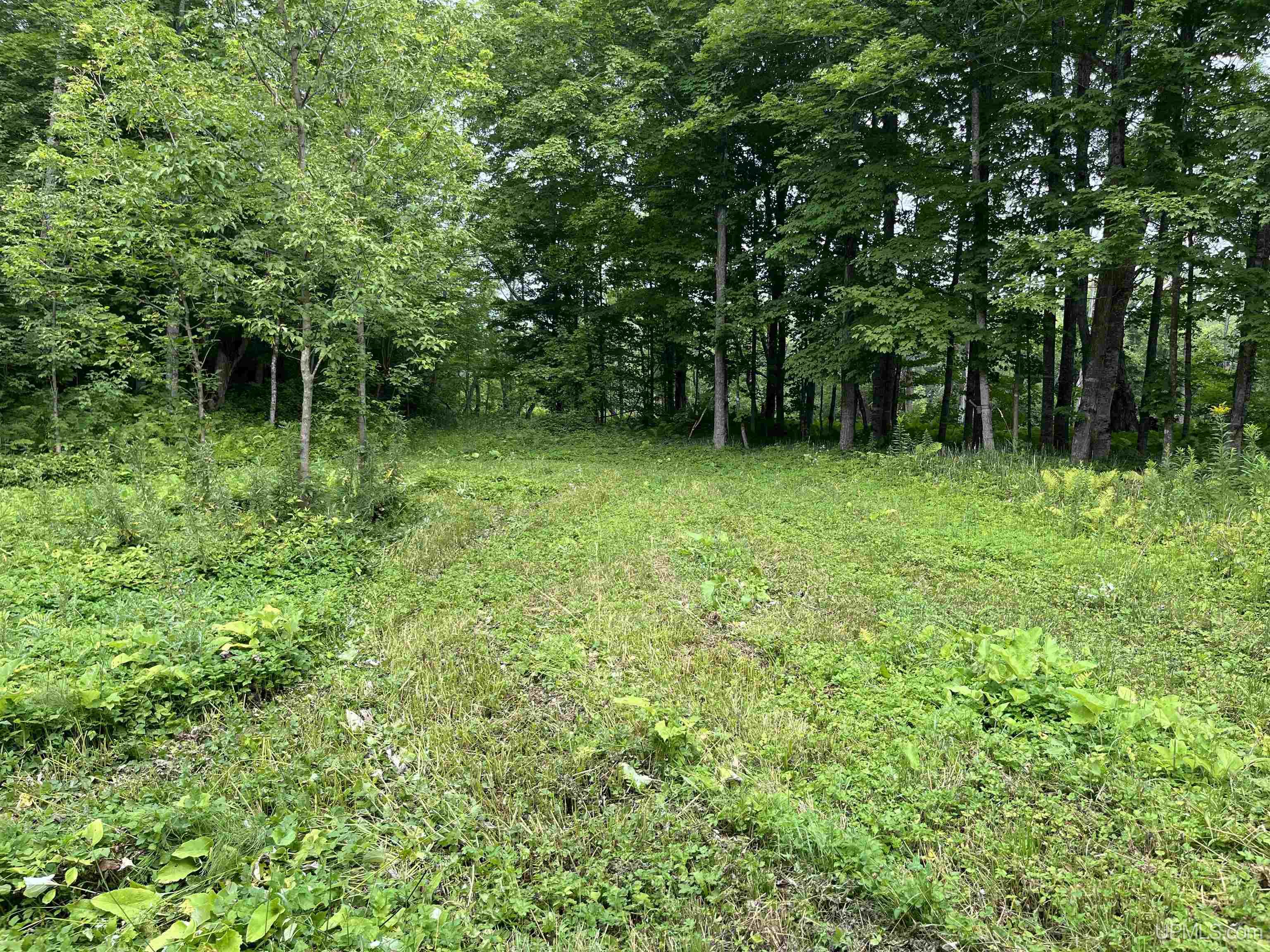 Homes for sale in Ontonagon, MI | Tbd Forest Road 690 Camp, Ontonagon, MI 49953 | MLS# 50184268