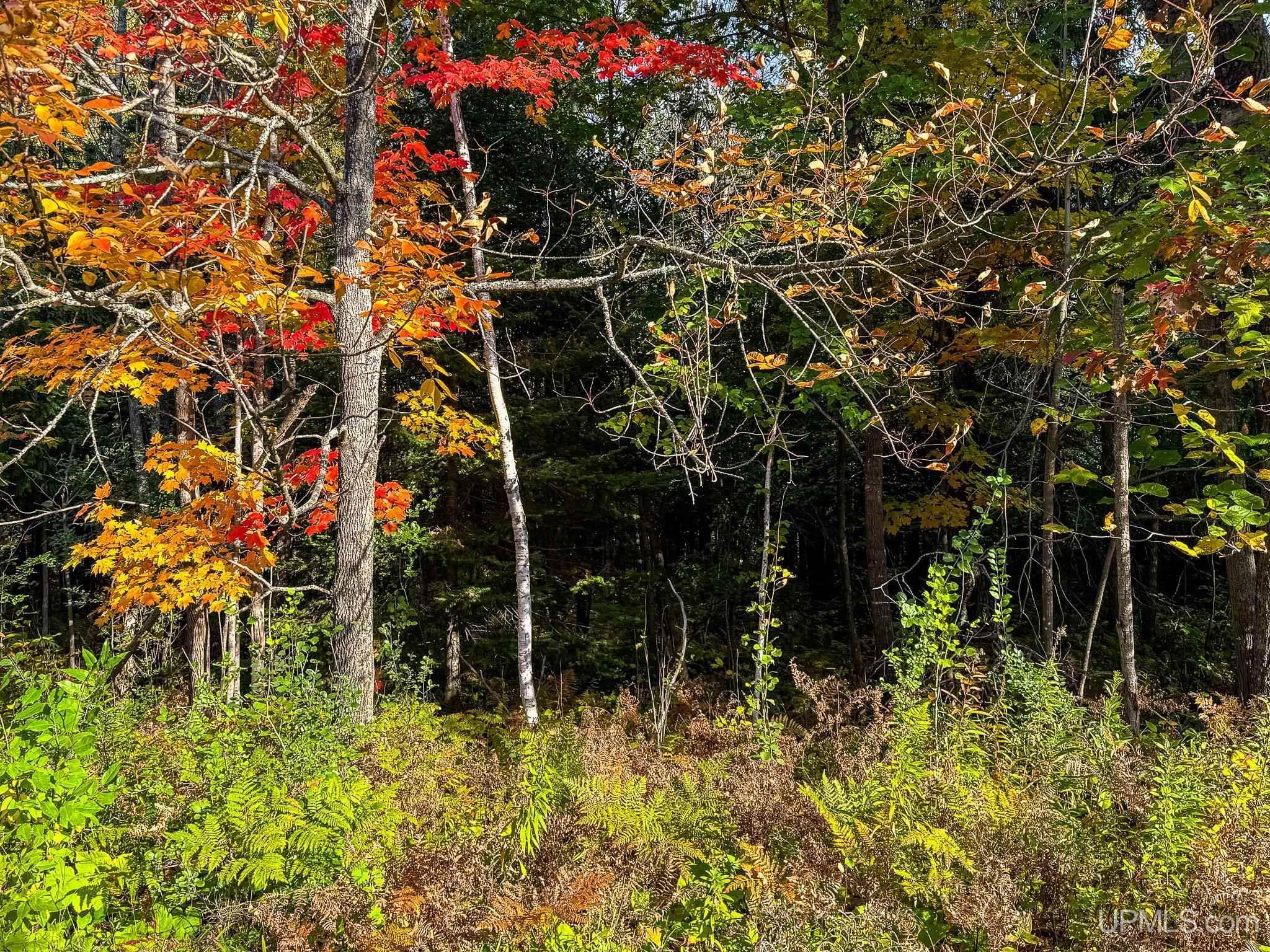 Homes for sale in Bessemer, MI | Trigger Dr Dr, Bessemer, MI 49911 | MLS# 50184281