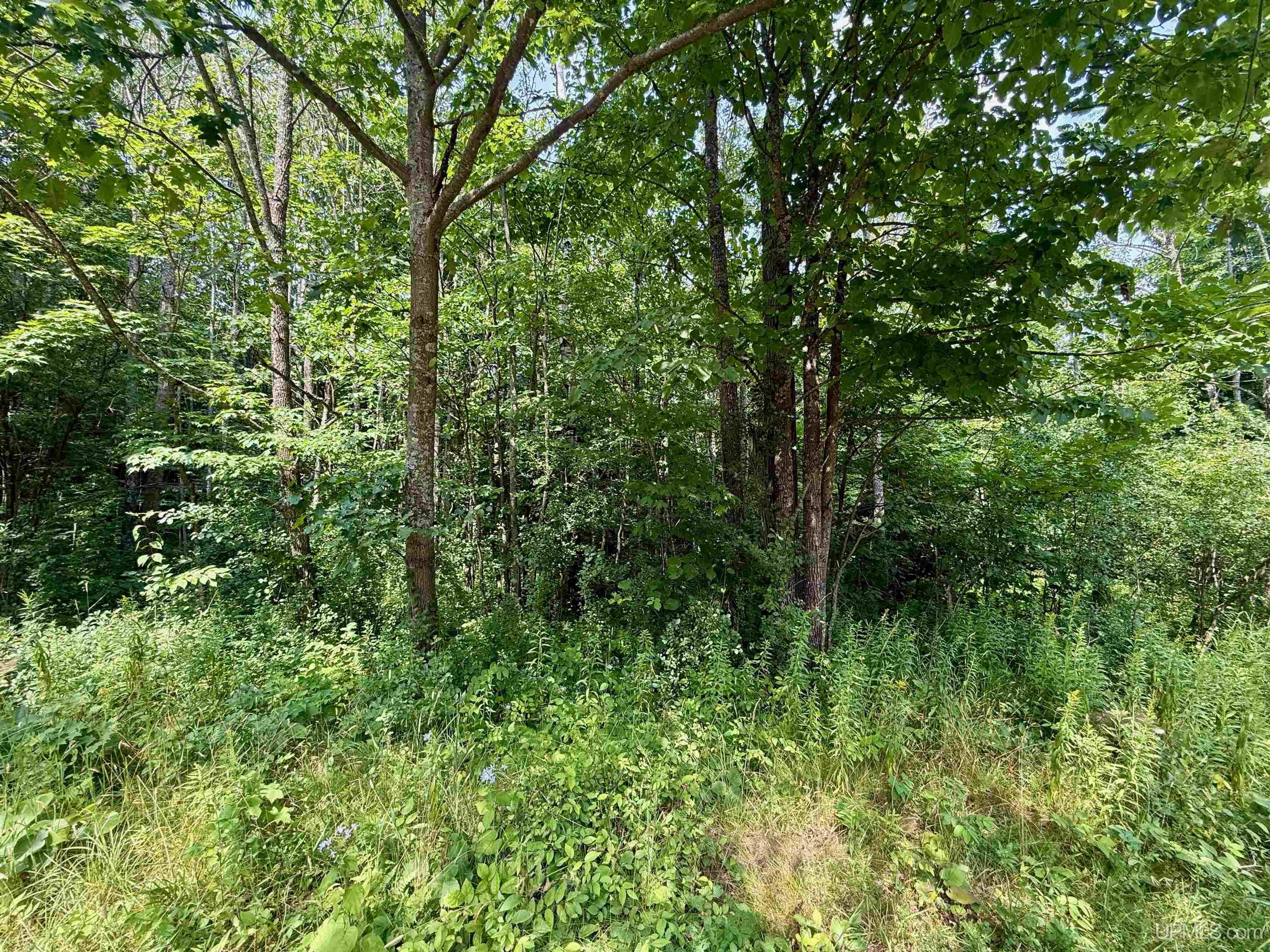 Homes for sale in Bessemer, MI | Trigger Dr Dr, Bessemer, MI 49911 | MLS# 50184281