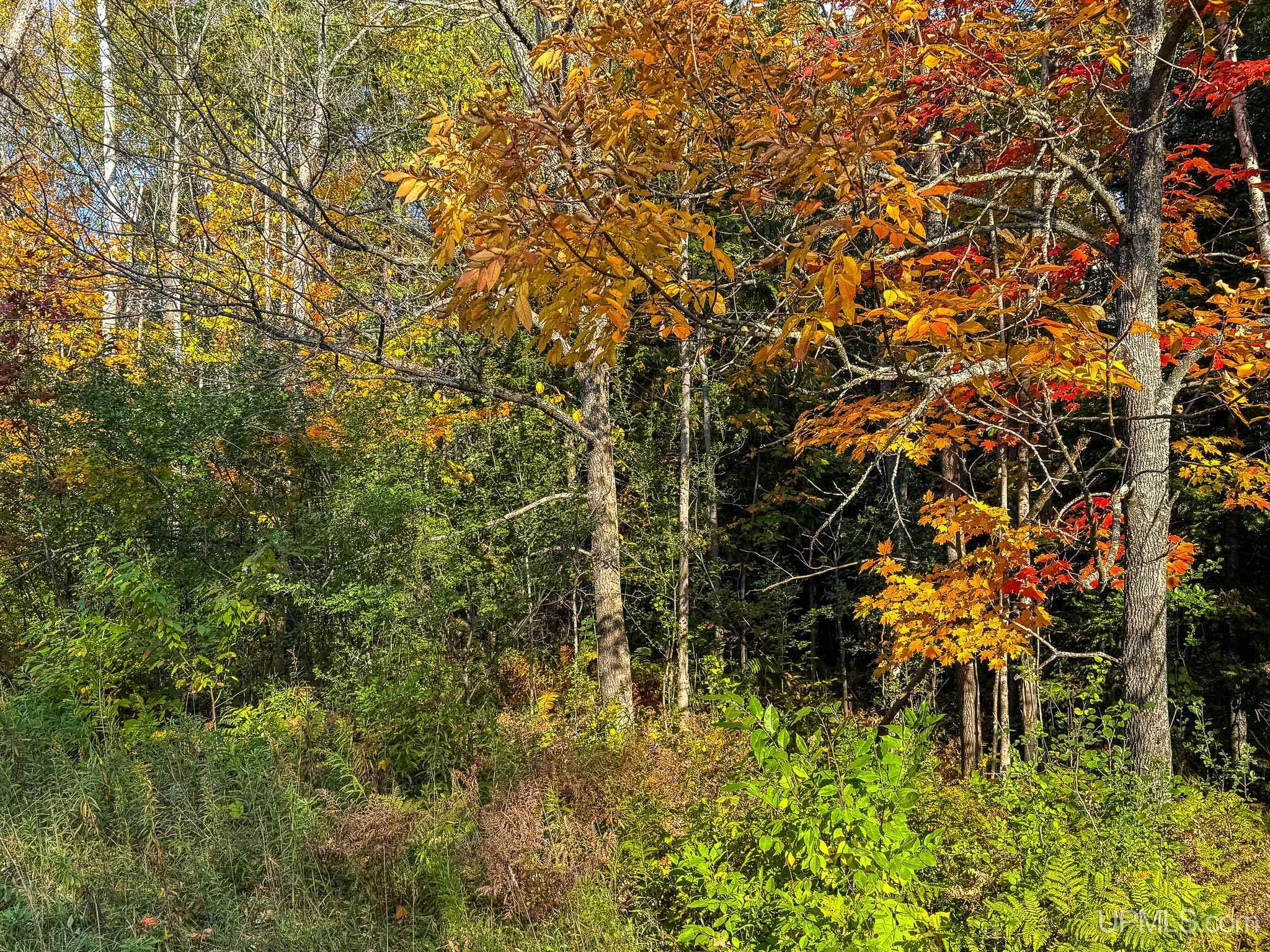 Homes for sale in Bessemer, MI | Trigger Dr Dr, Bessemer, MI 49911 | MLS# 50184281