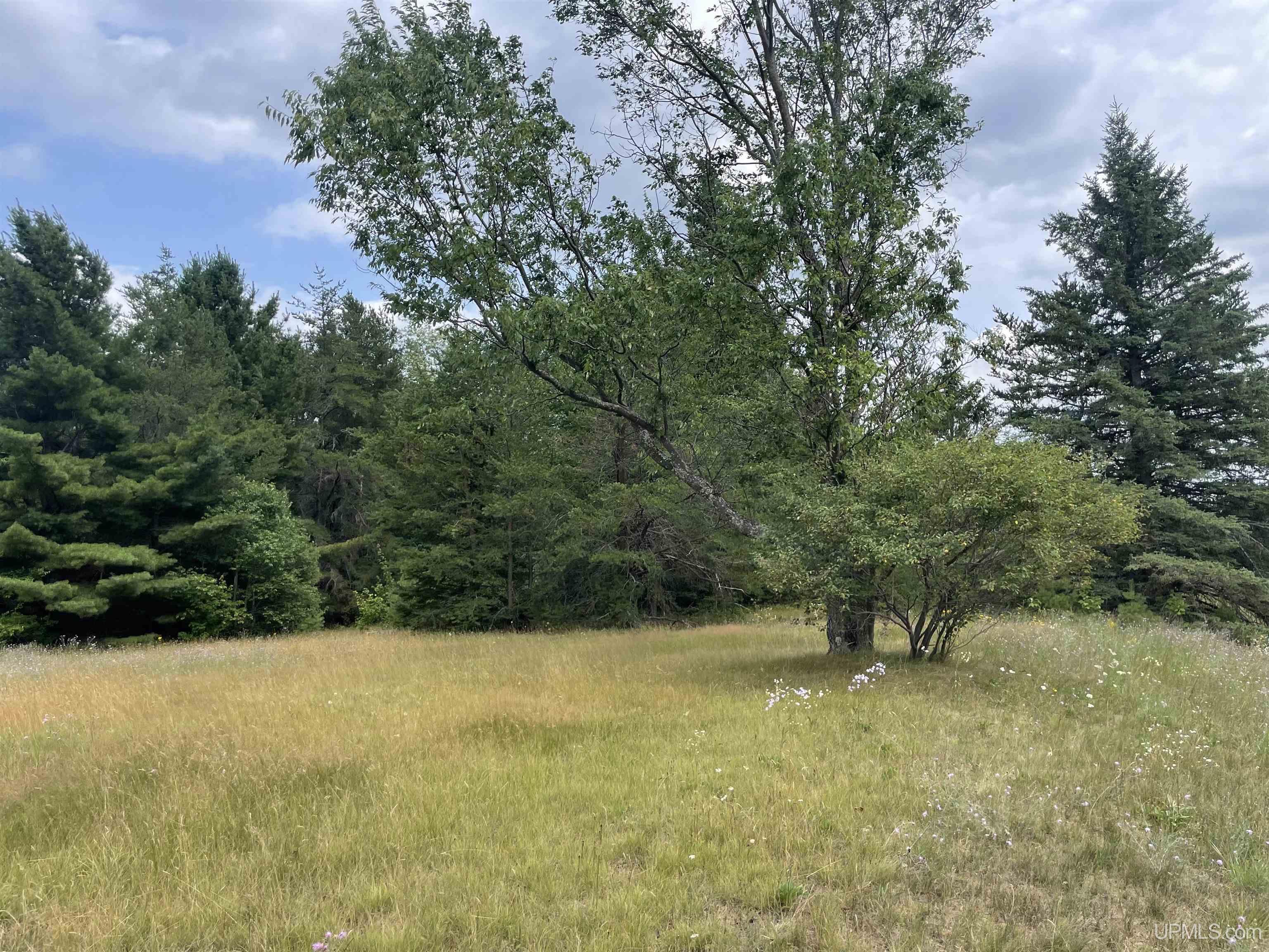 Homes for sale in Skandia, MI | Tbd S Us41 Hwy, Skandia, MI 49885 | MLS# 50184382