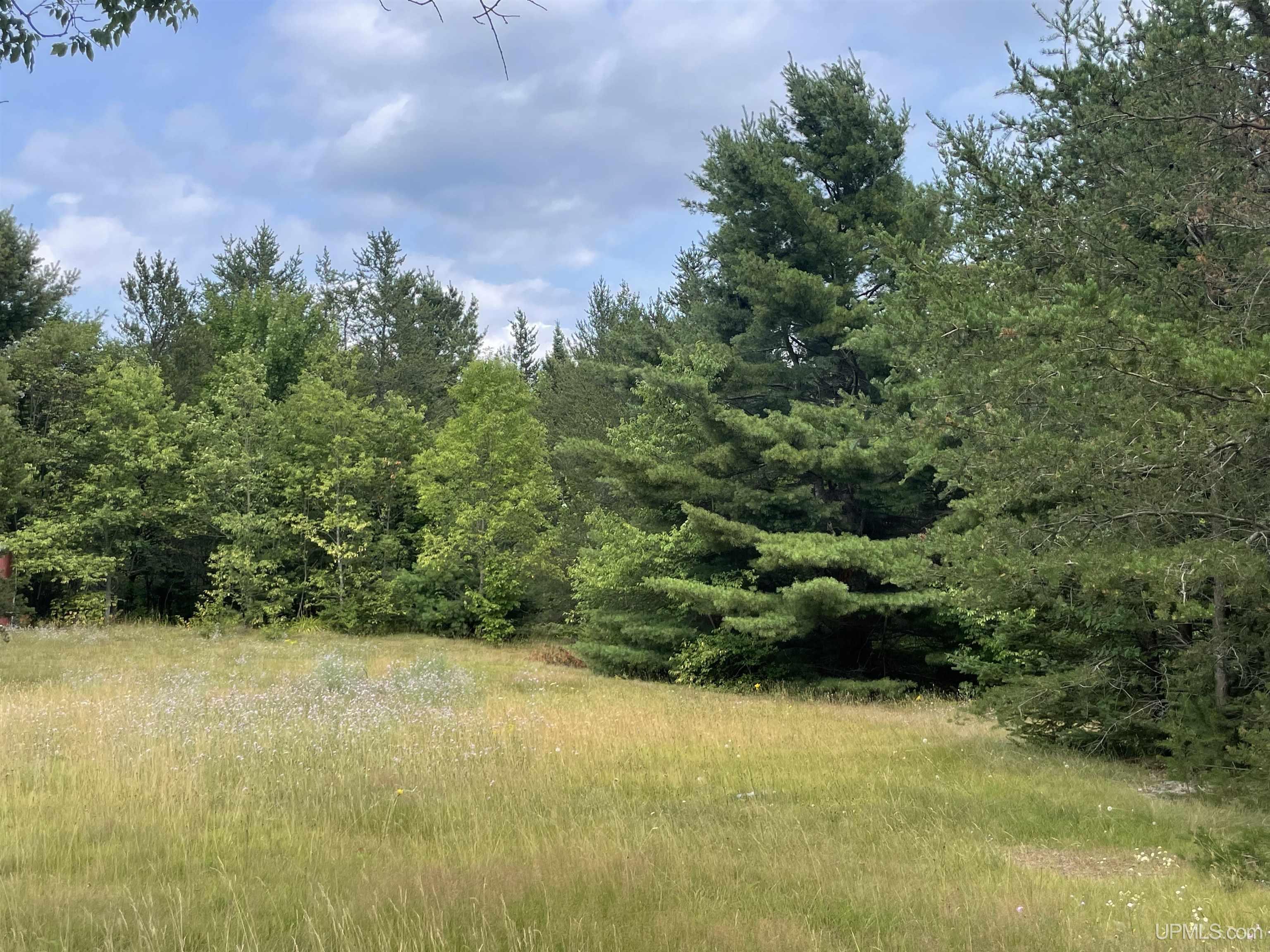 Homes for sale in Skandia, MI | Tbd S Us41 Hwy, Skandia, MI 49885 | MLS# 50184382