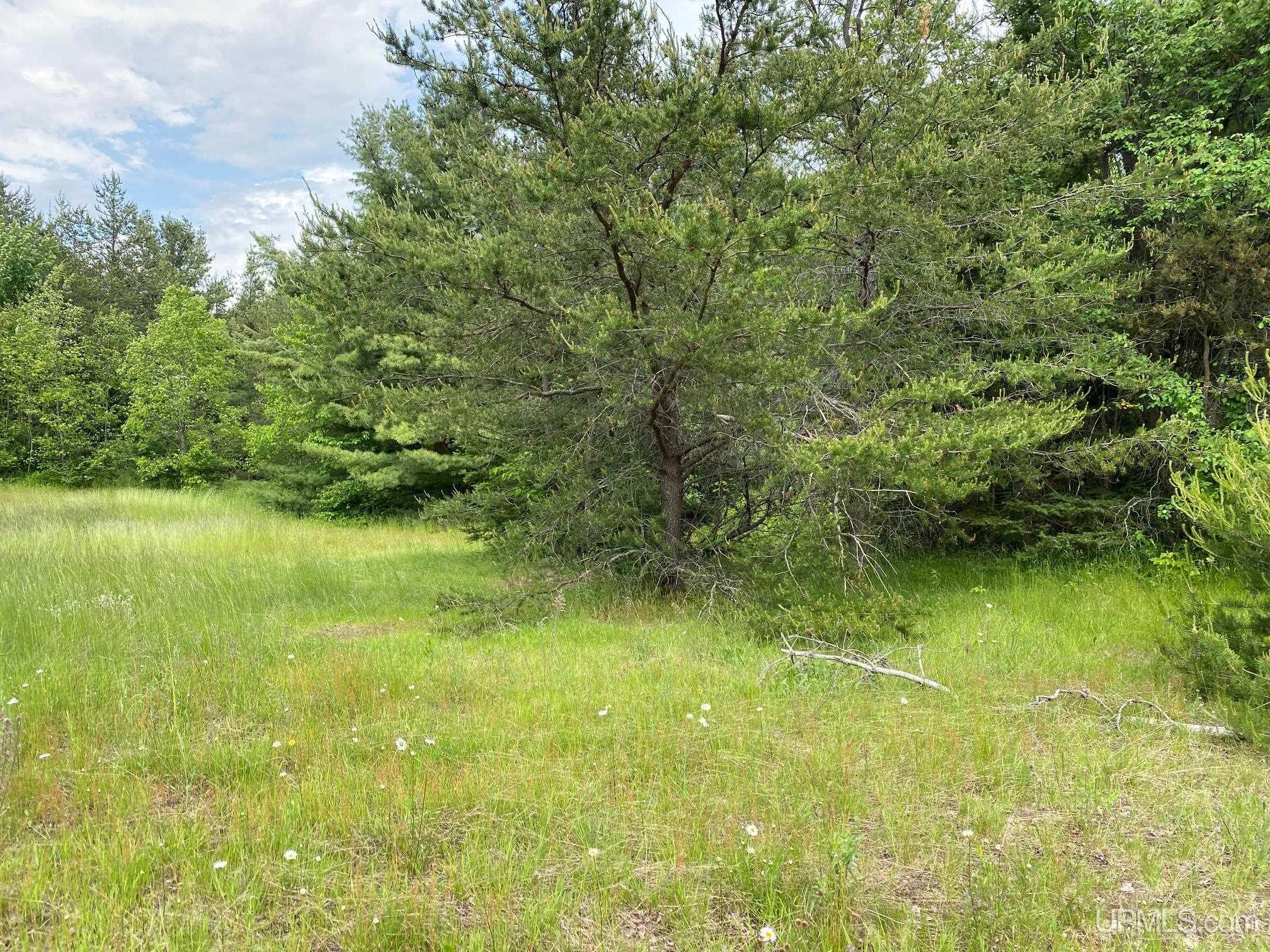 Homes for sale in Skandia, MI | Tbd S Us41 Hwy, Skandia, MI 49885 | MLS# 50184382