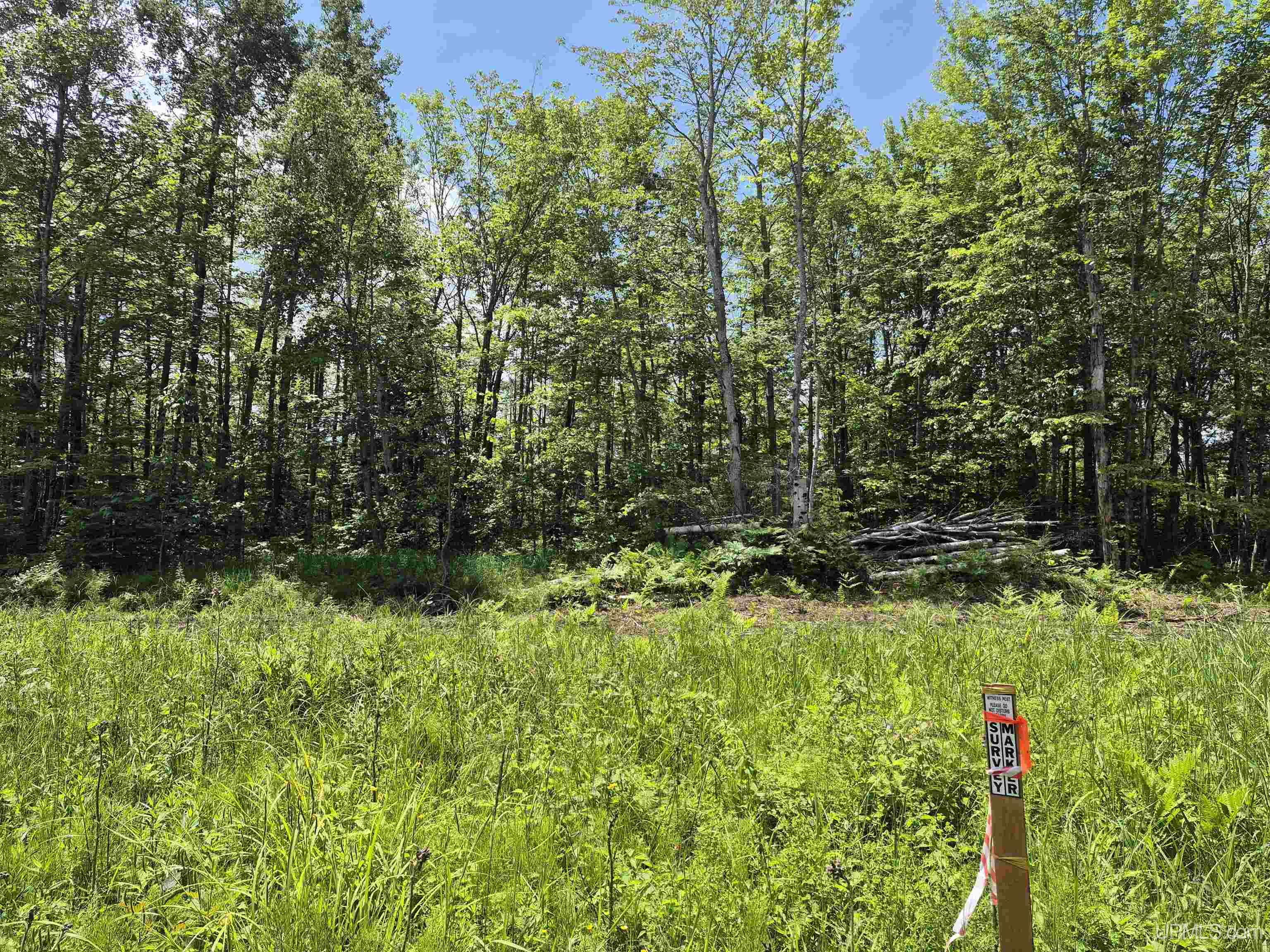 Homes for sale in Gulliver, MI | 40 Acres Black Bear Ln, Gulliver, MI 49840 | MLS# 50185107