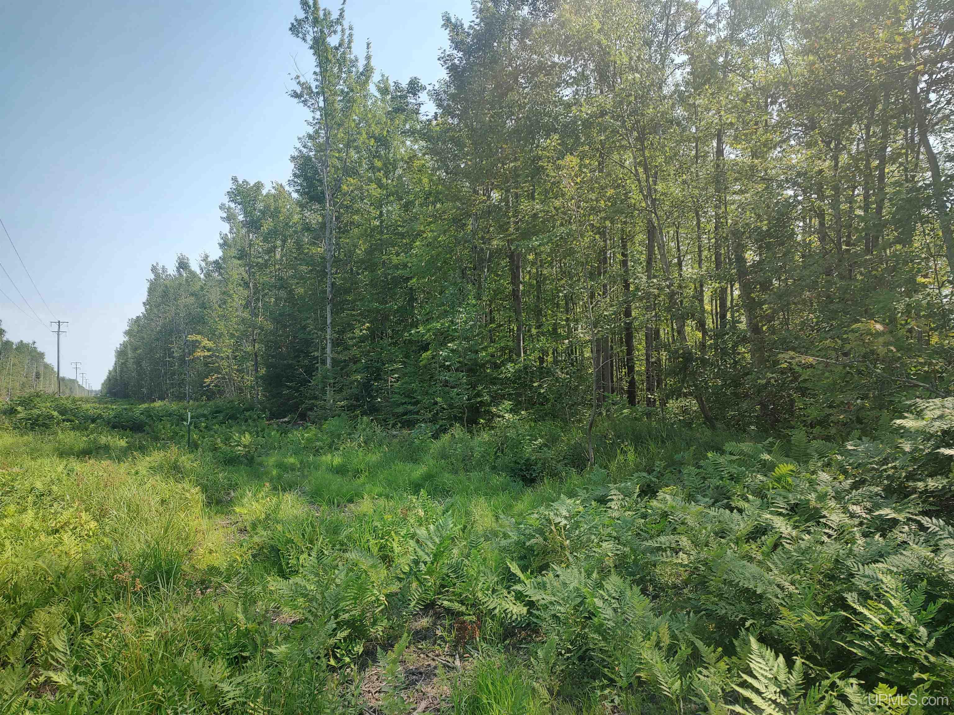 Homes for sale in Gulliver, MI | 40 Acres Black Bear Ln, Gulliver, MI 49840 | MLS# 50185107