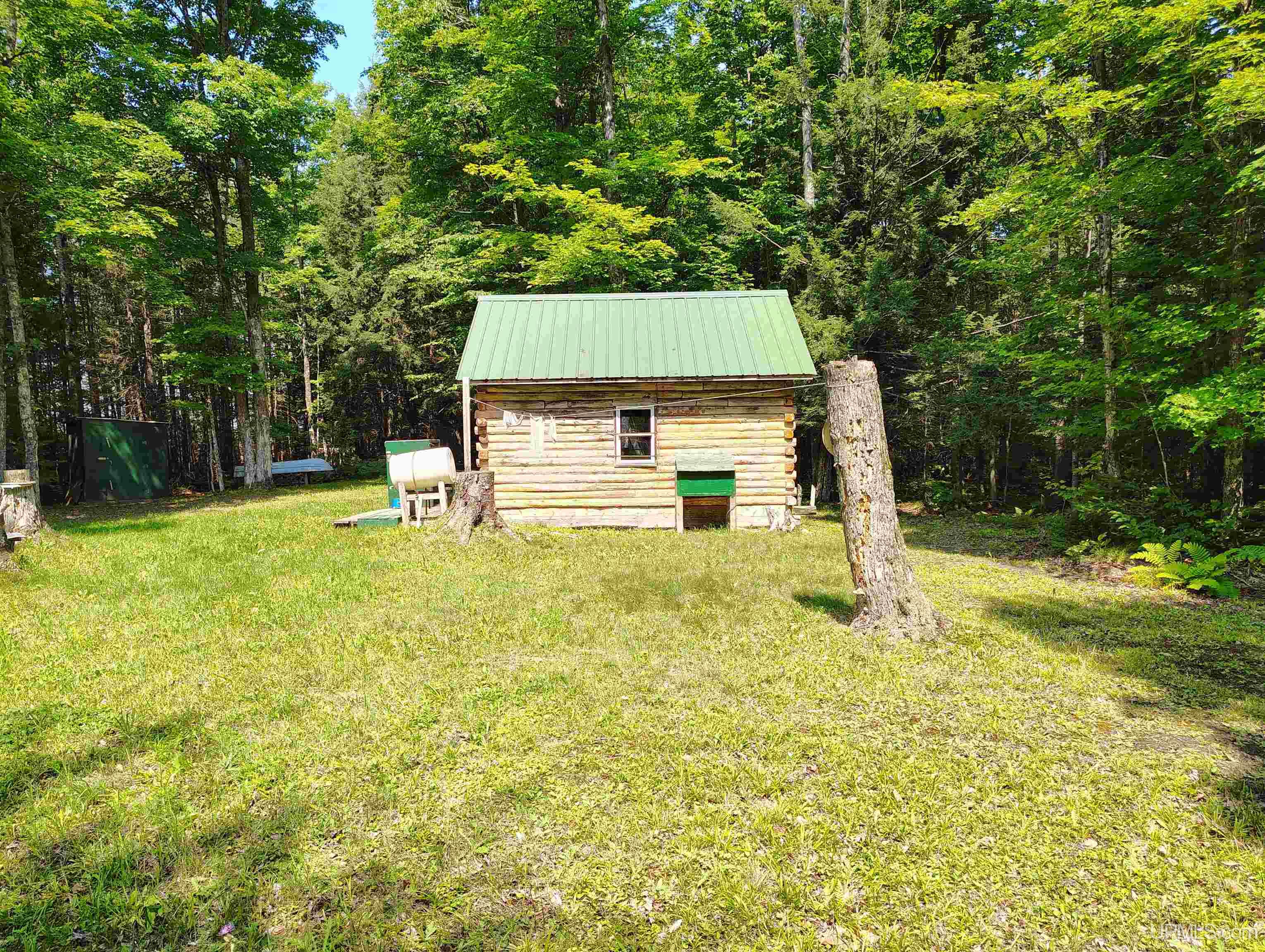 Homes for sale in Trenary, MI | Tbd Winters Rd, Trenary, MI 49891 | MLS# 50185488