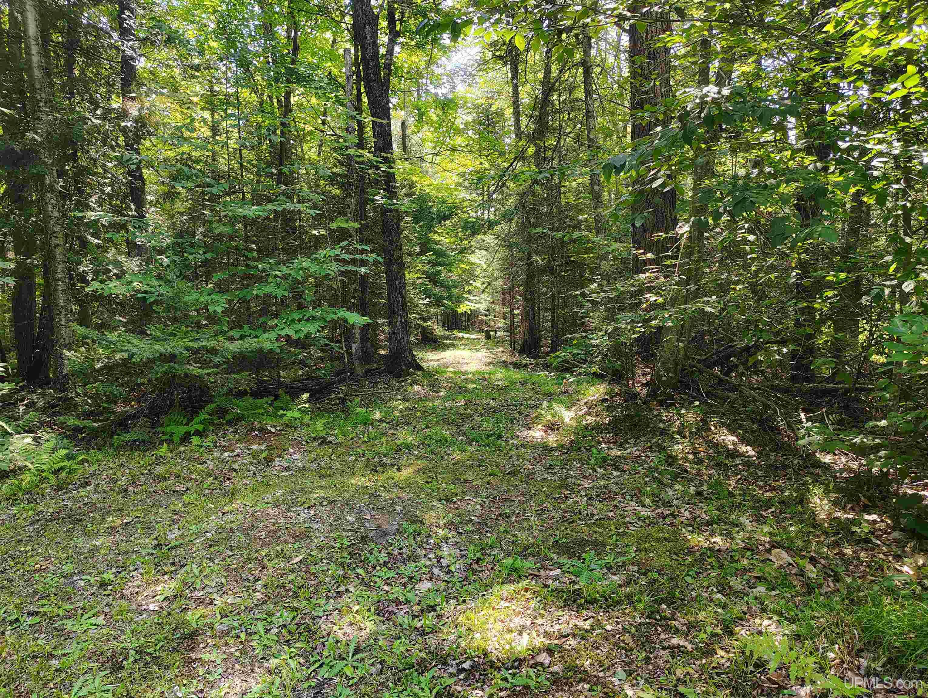 Homes for sale in Trenary, MI | Tbd Winters Rd, Trenary, MI 49891 | MLS# 50185488