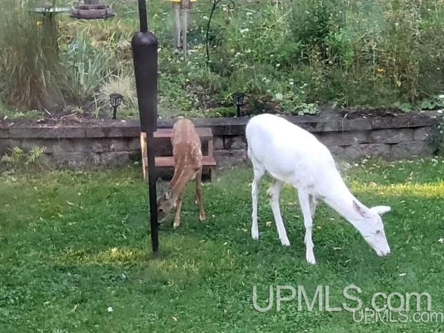 Homes for sale in Marquette, MI | 2132 Montgomery St, Marquette, MI 49855 | MLS# 50185691