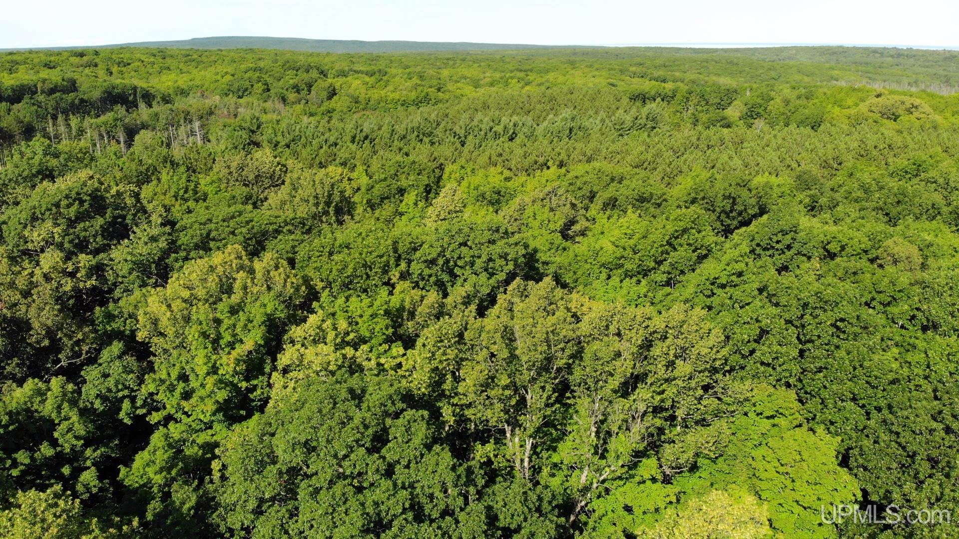 Homes for sale in Atlantic Mine, MI | Tbd10 S Superior Rd, Atlantic Mine, MI 49905 | MLS# 50186017