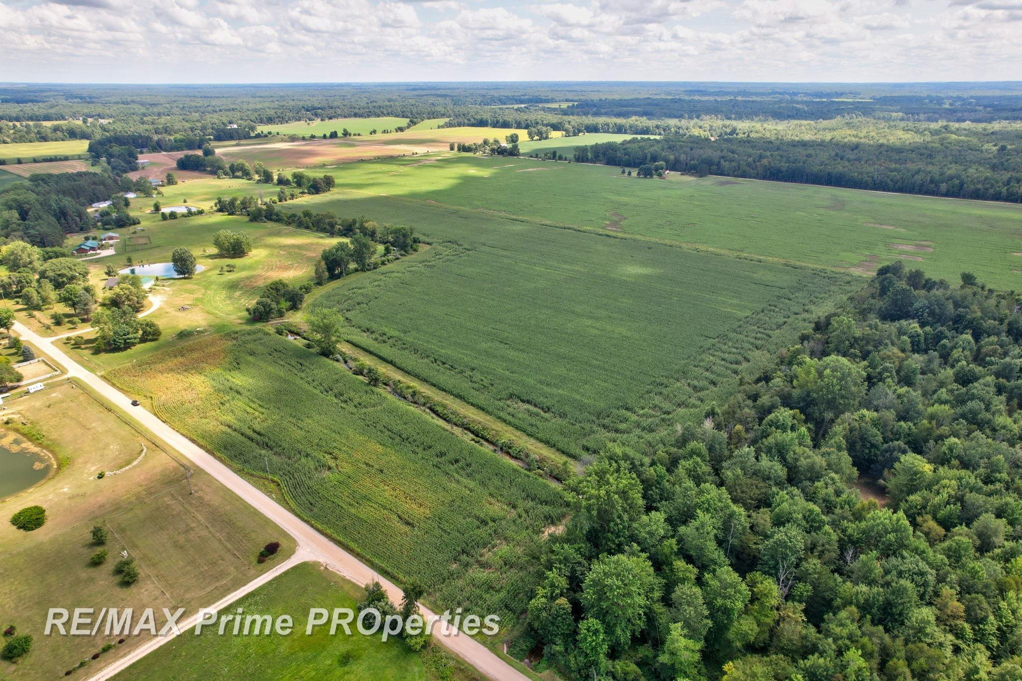 Homes for sale in Cass City, MI | 0000 Cooklin Rd, Cass City, MI 48726 | MLS# 50186044