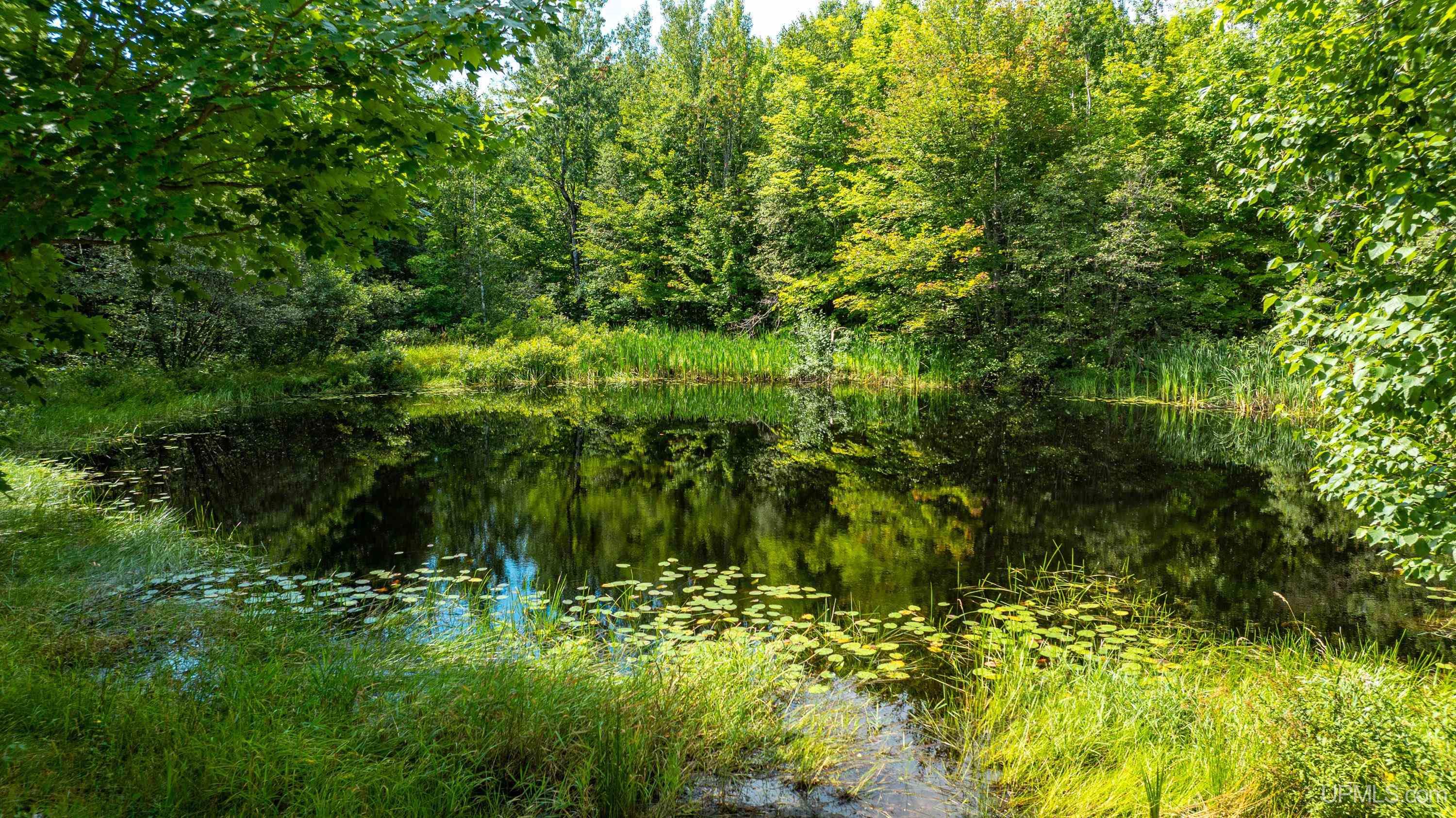 Homes for sale in Hancock, MI | 24411 Upper Point Mills Rd, Hancock, MI 49930 | MLS# 50186136