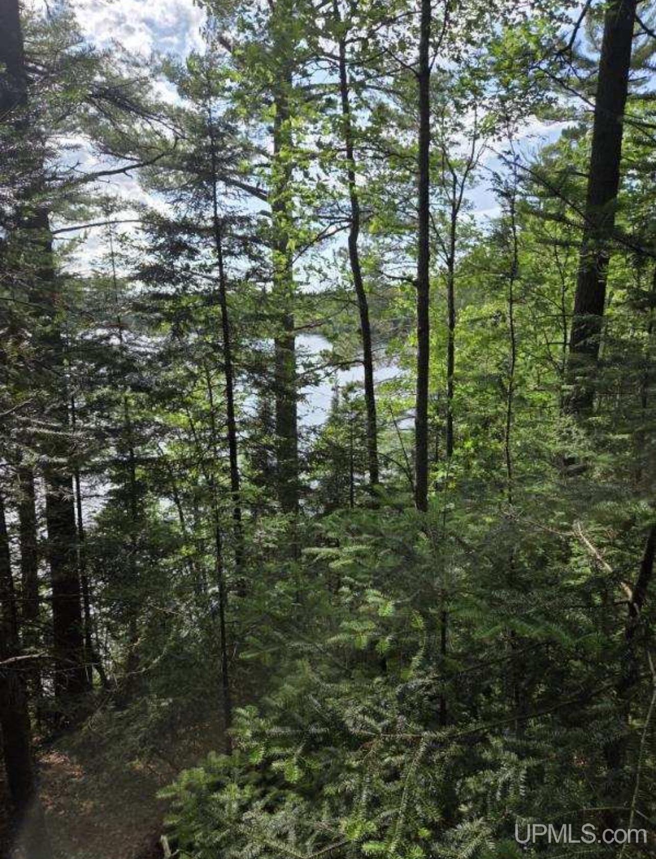 Homes for sale in Iron River, MI | Tbd W Paint Lake Rd, Iron River, MI 49935 | MLS# 50186255