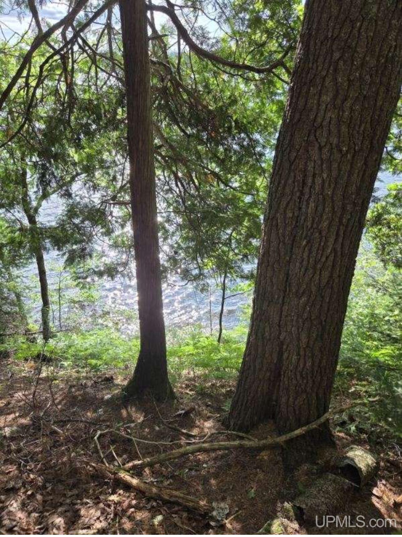 Homes for sale in Iron River, MI | Tbd W Paint Lake Rd, Iron River, MI 49935 | MLS# 50186255