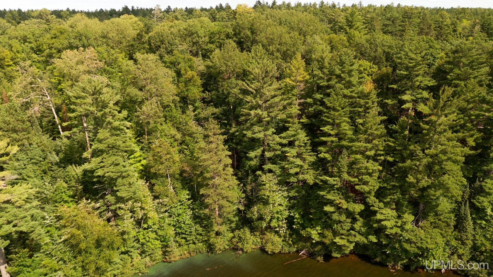 Homes for sale in Iron River, MI | Tbd W Paint Lake Rd, Iron River, MI 49935 | MLS# 50186255